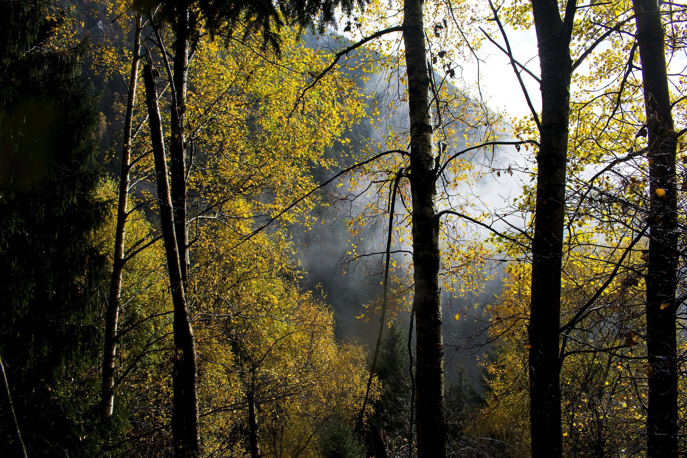 Breaths of freshness