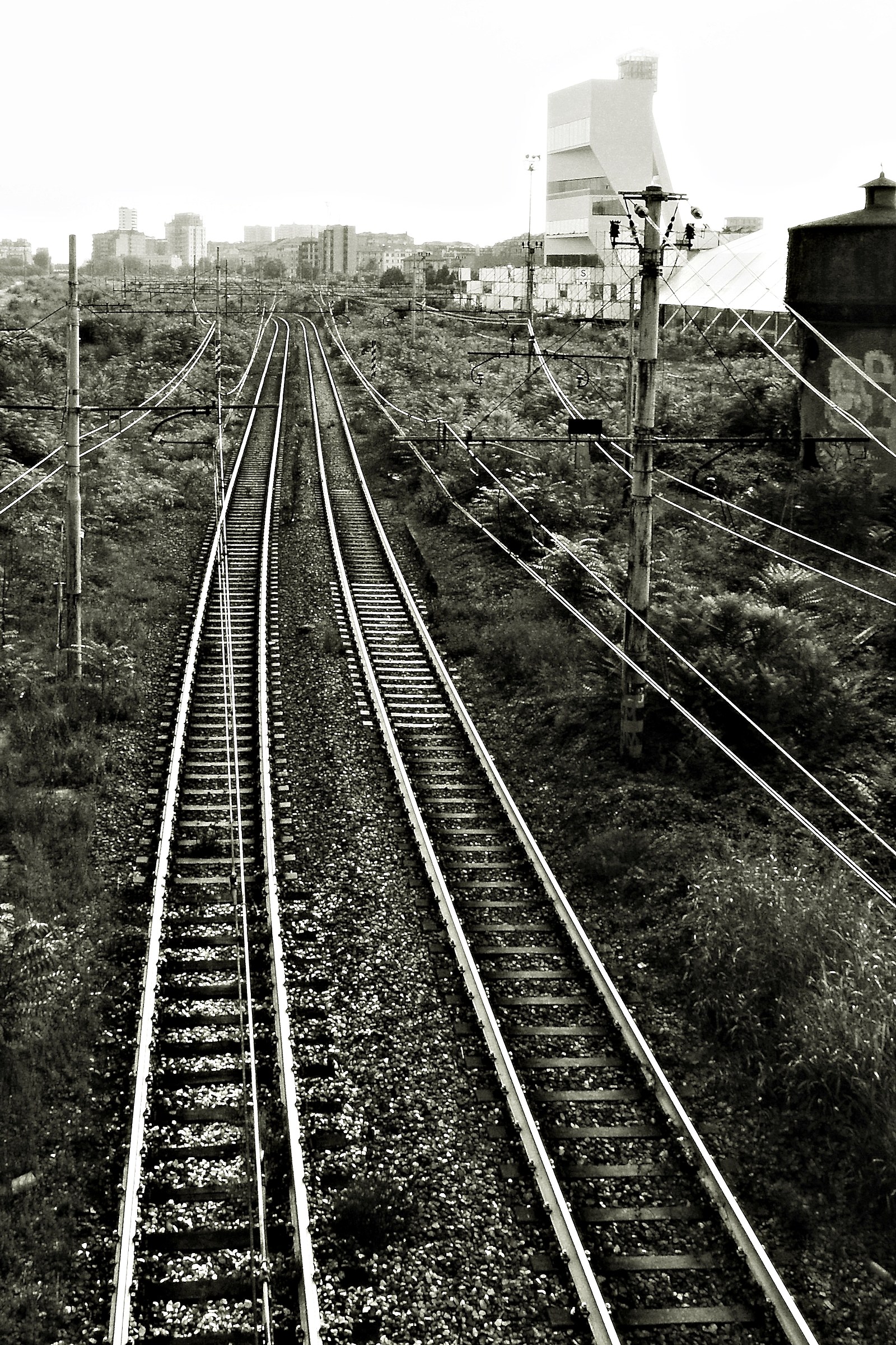 Convergenze parallele