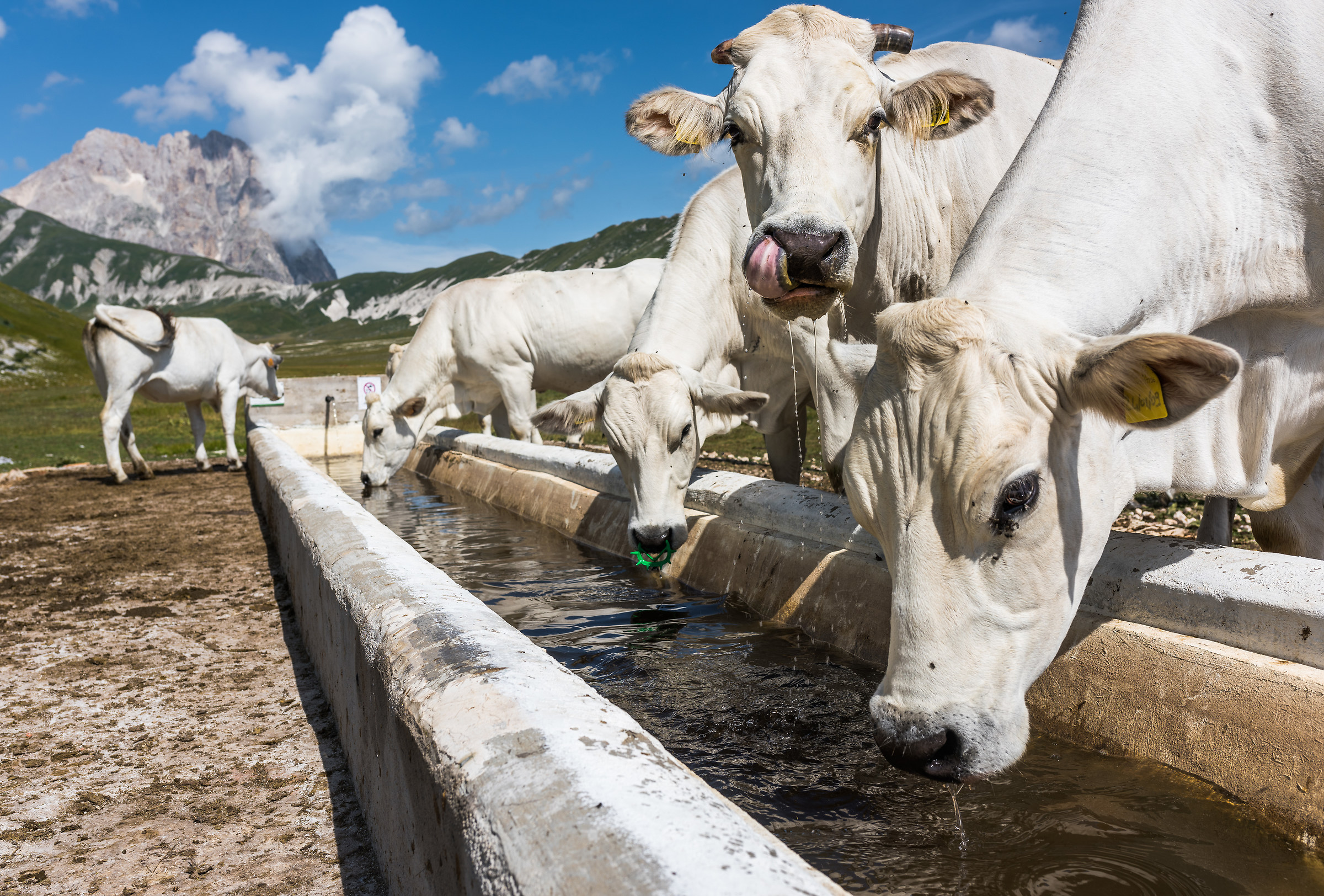 Ai piedi della grande montagna - Campo Imperatore