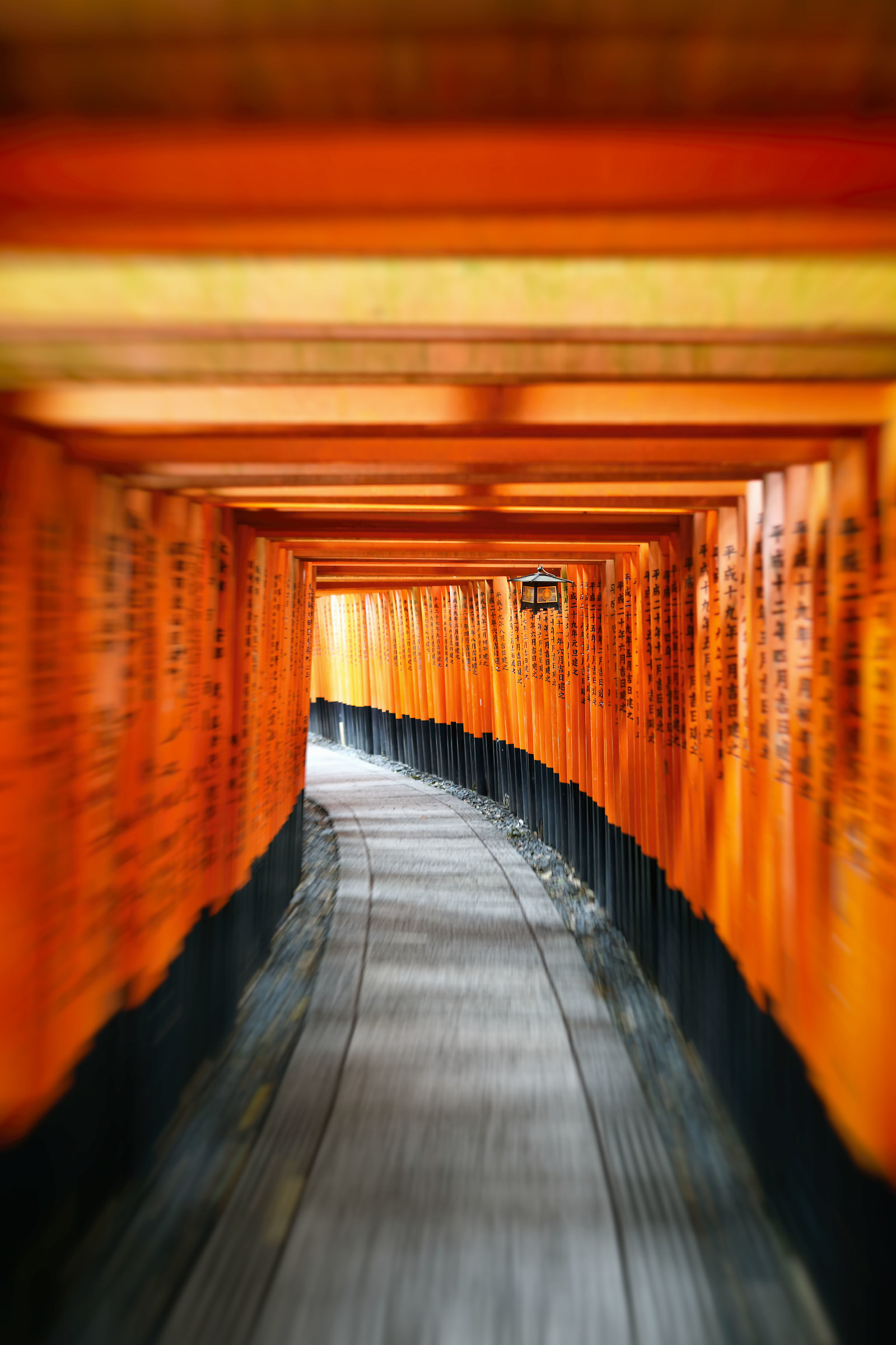 fujimi inari-thaisha dinamic