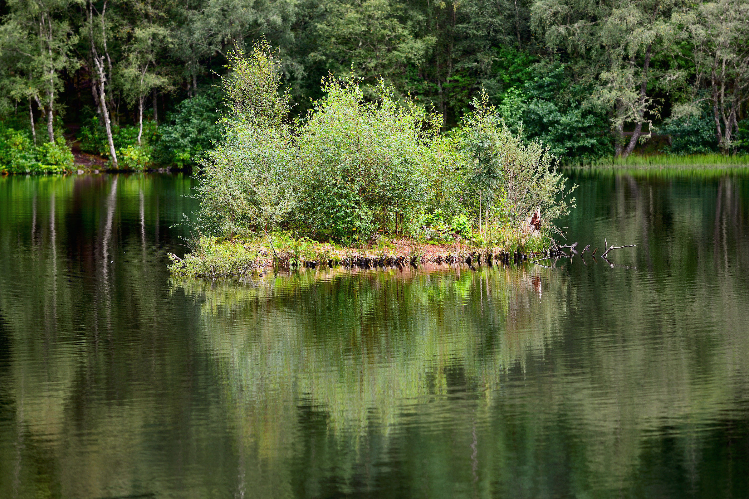 Glencoe Lochan