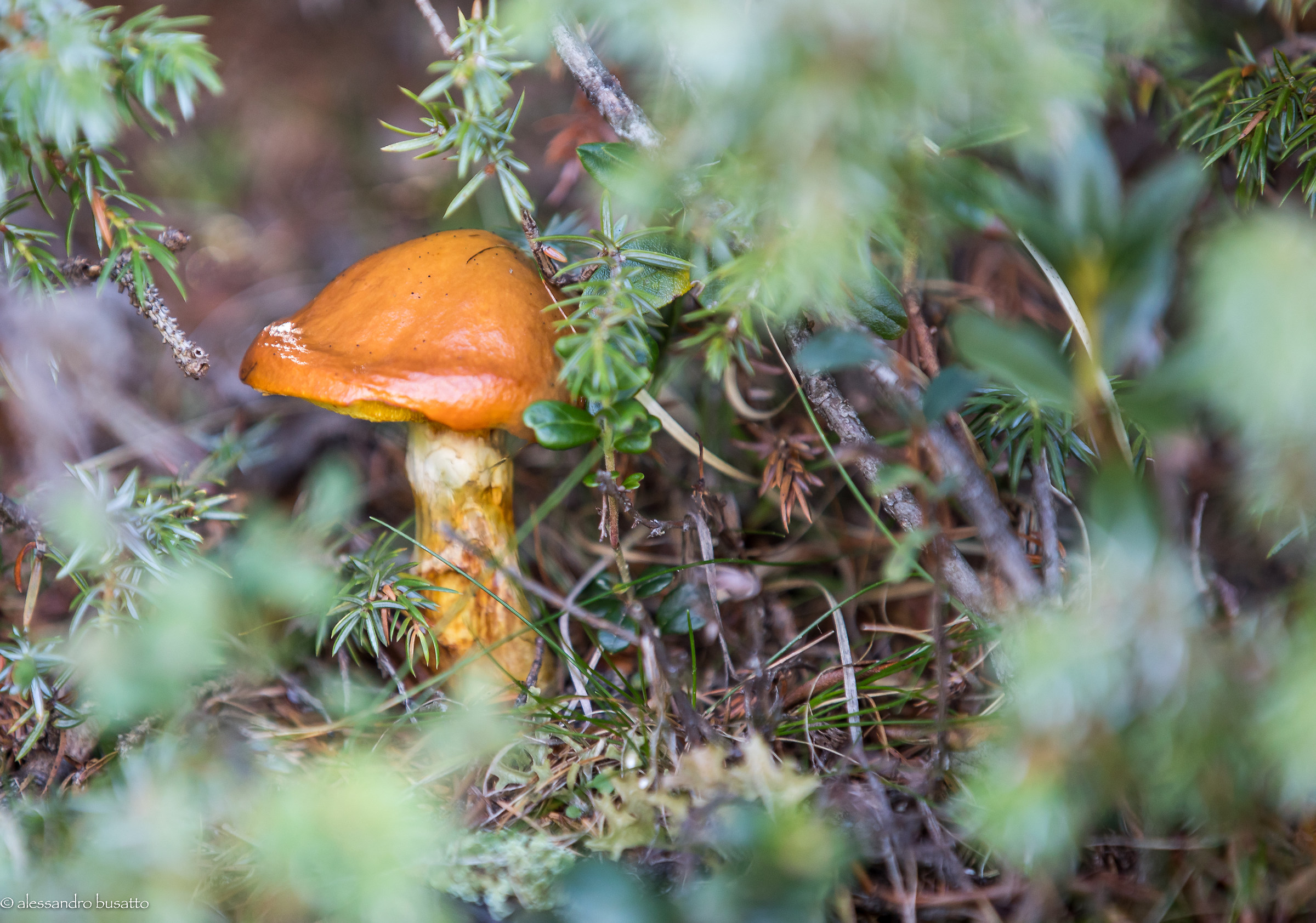 Untitled Photo