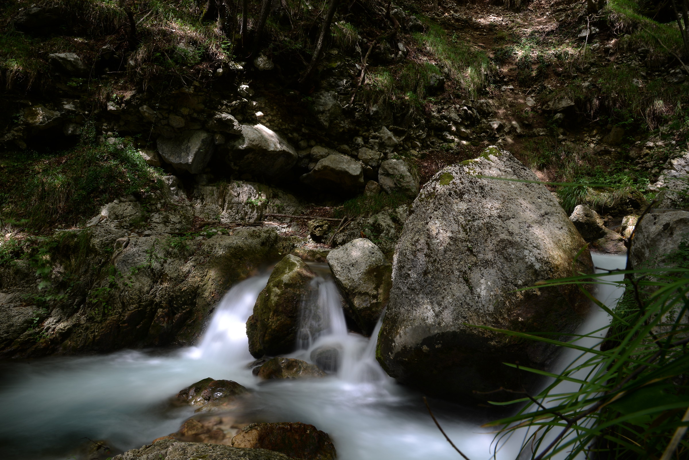capo fiume (Trisulti)
