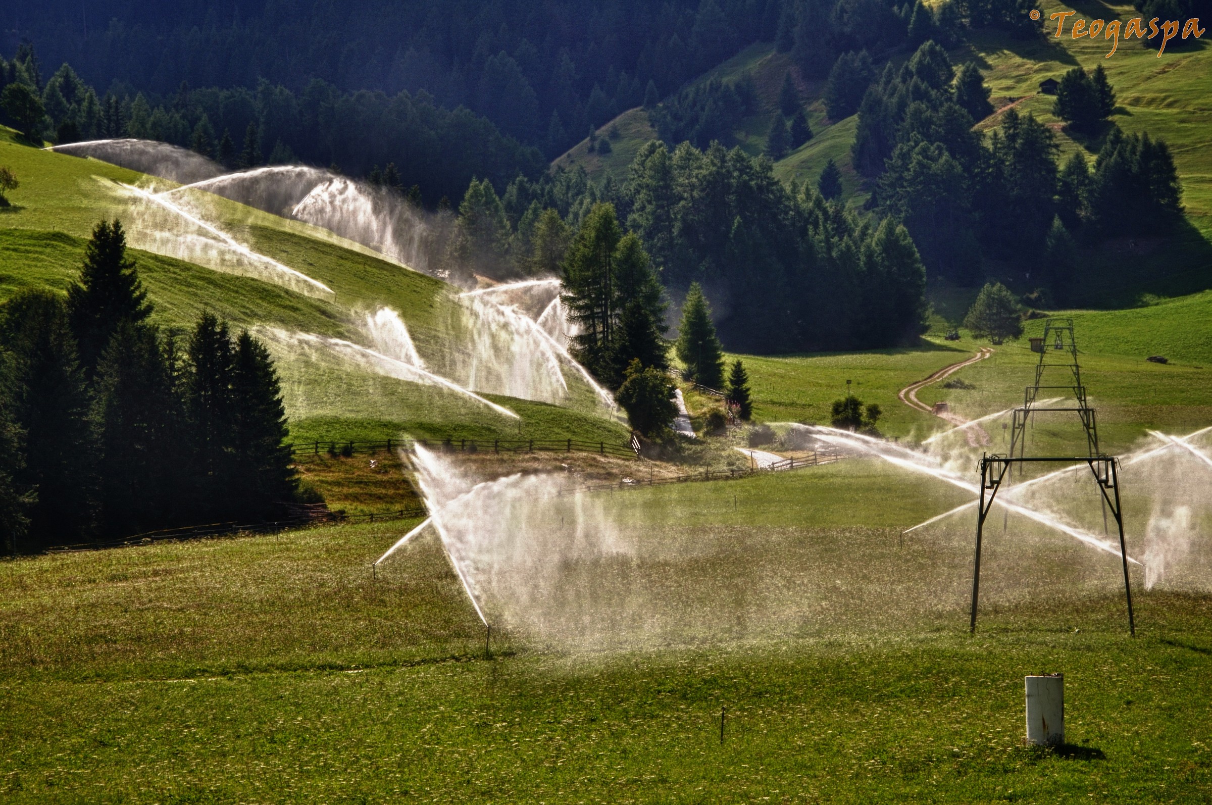 Irrigazione d'agosto