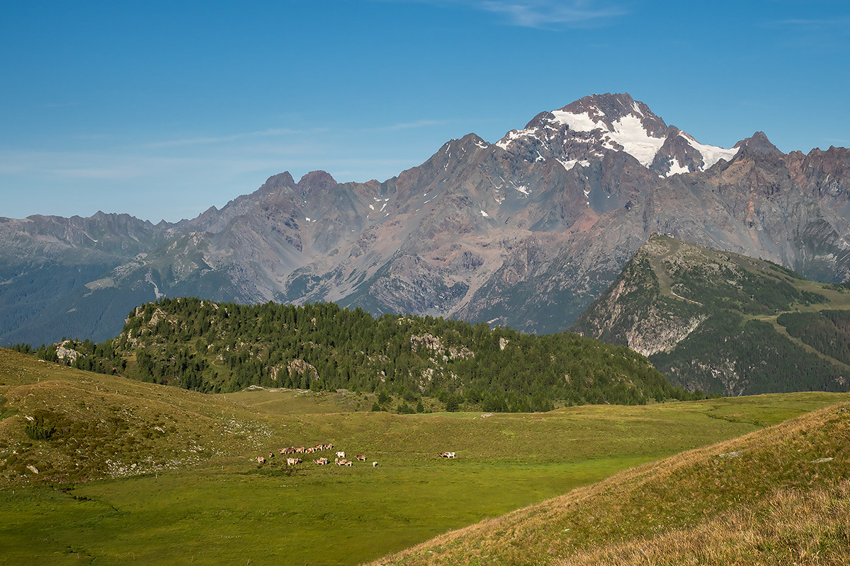 Pasture