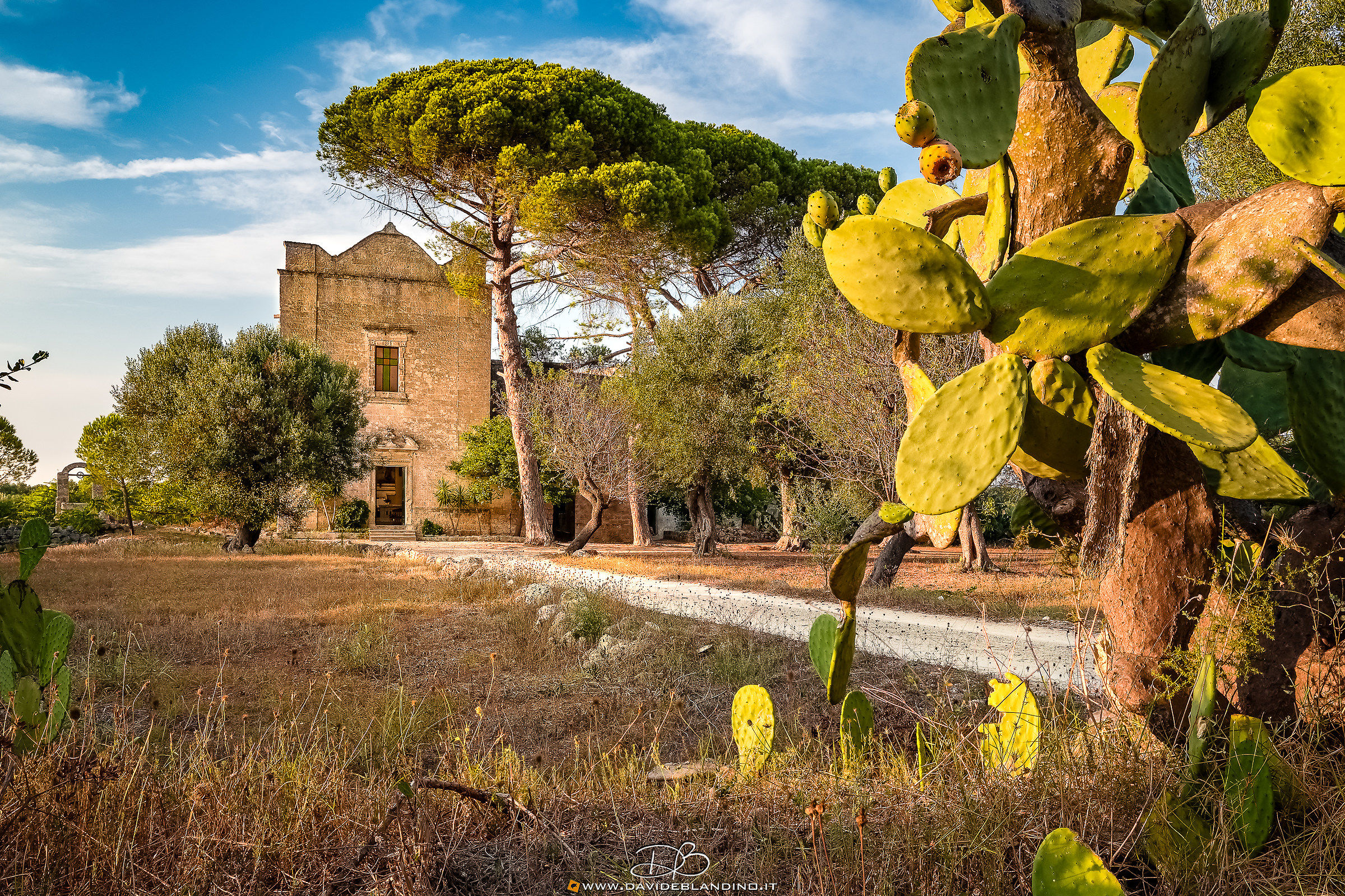 Santa Maria di Montevergine by Arnesano