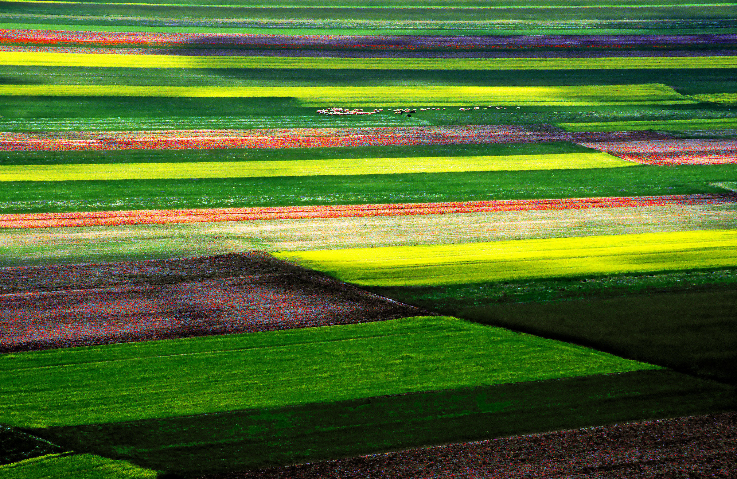 Castelluccio