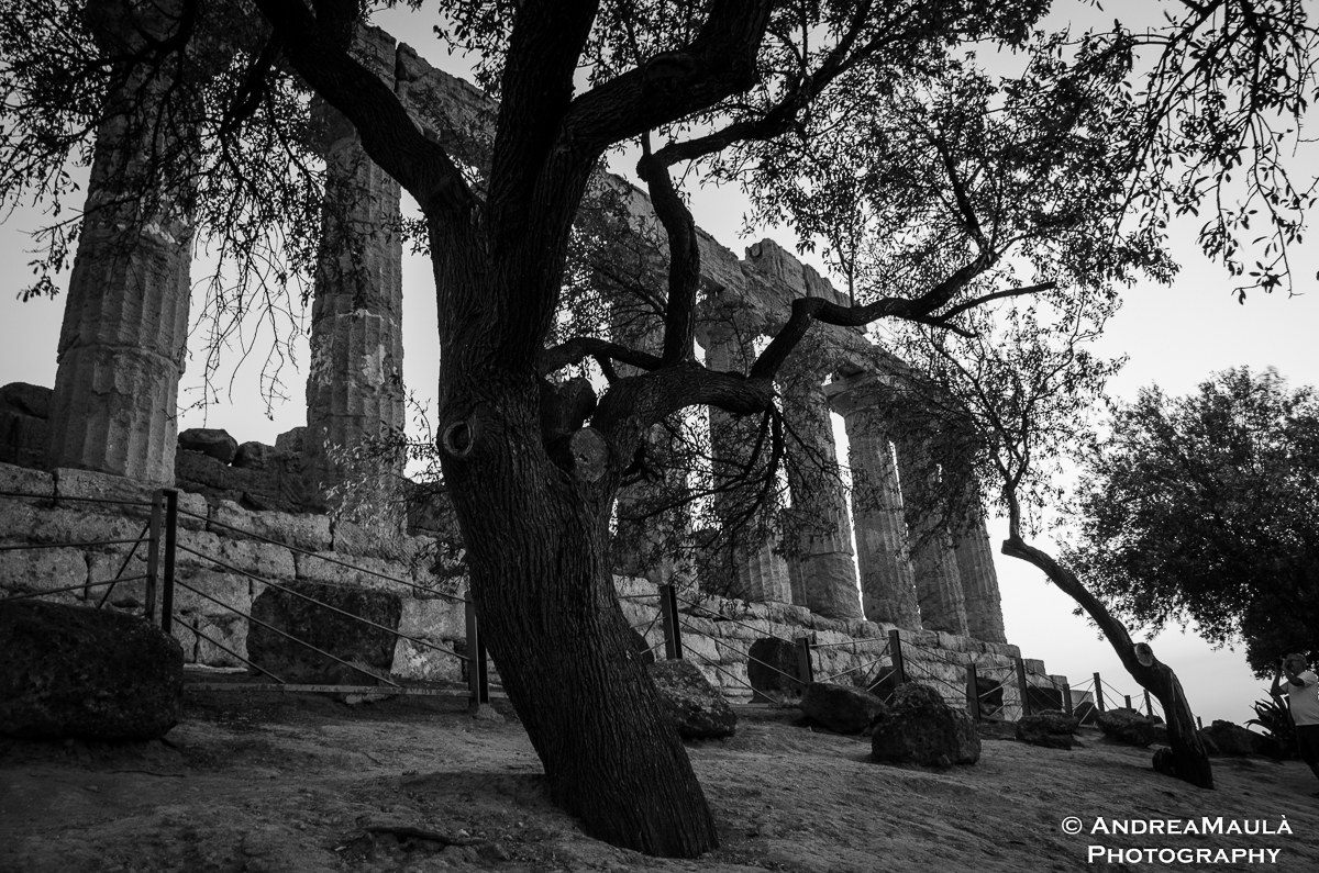 Valley of the temples