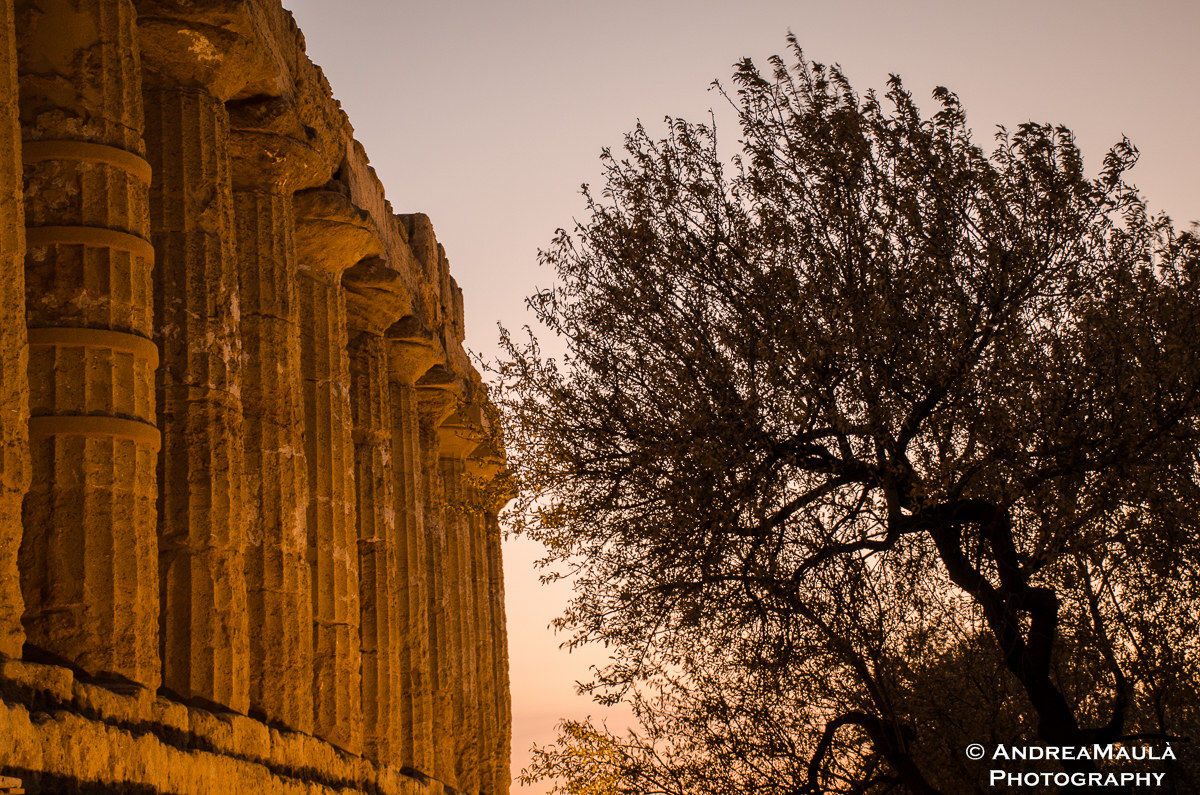 Valley of the temples
