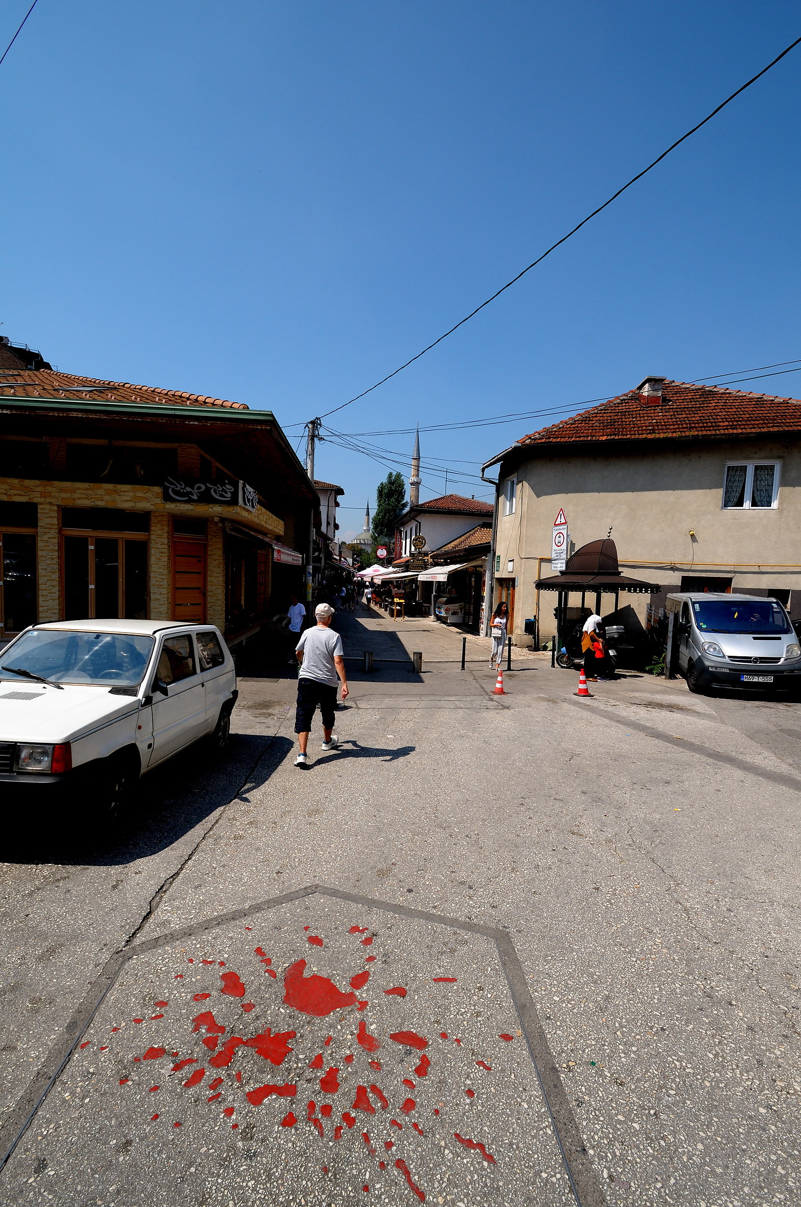 The Roses of Sarajevo