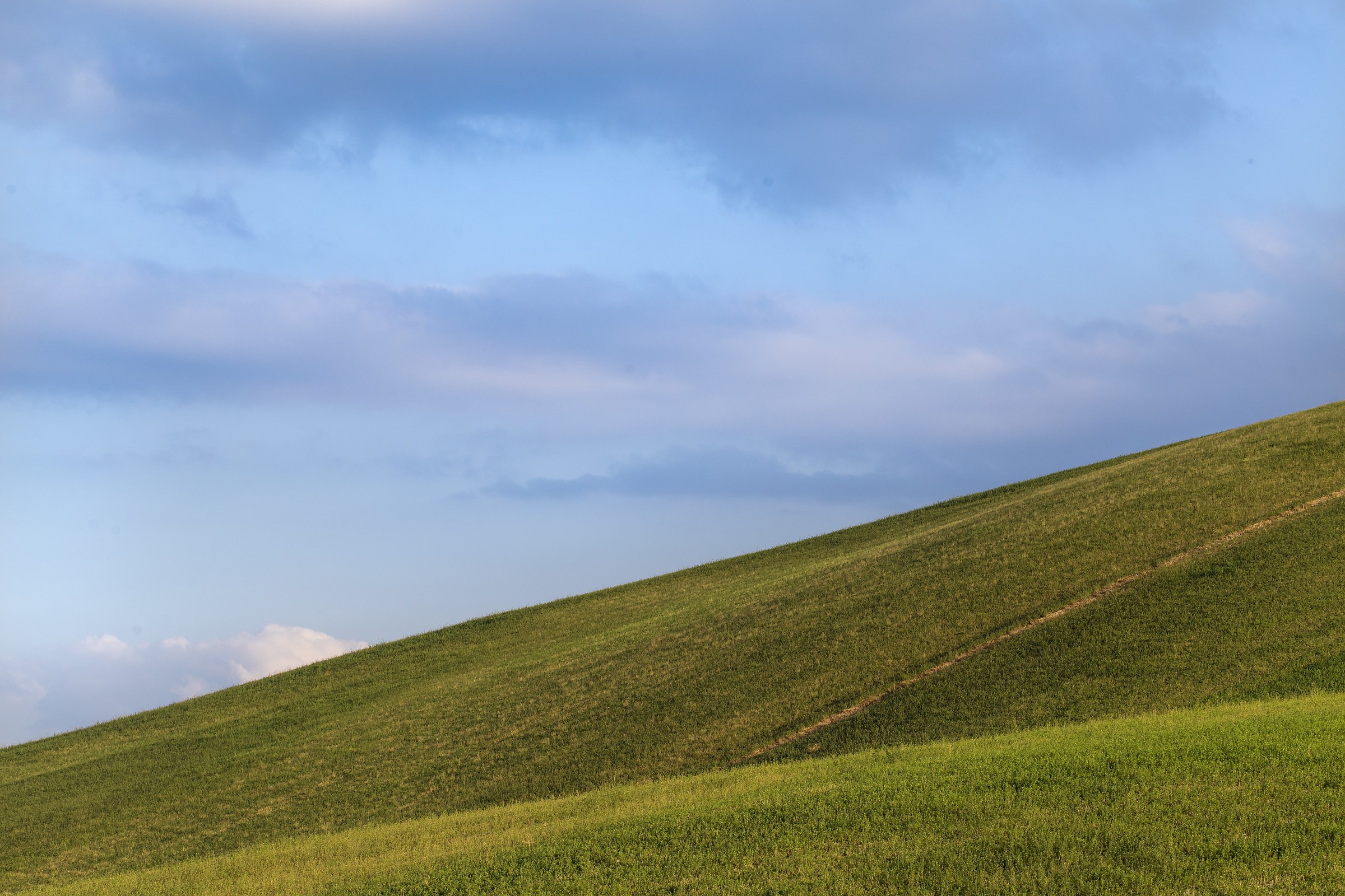 Windows XP