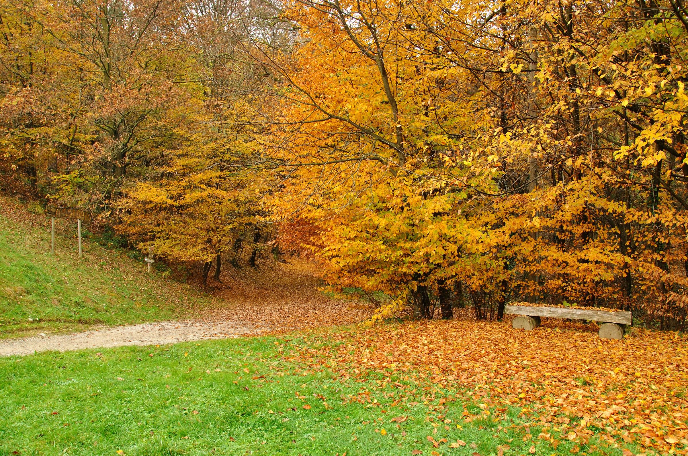La via della serenità