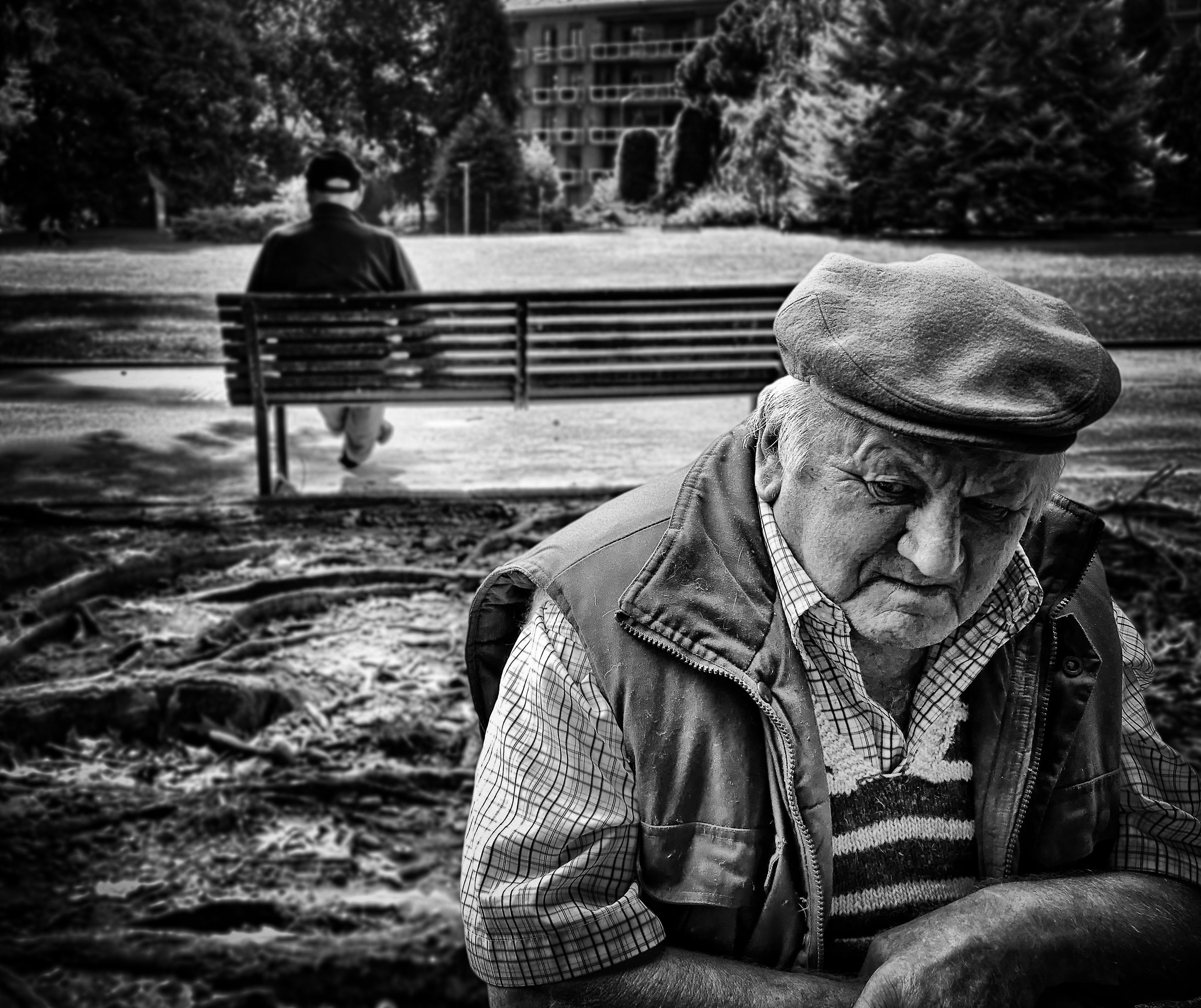 In the gardens that no one knows