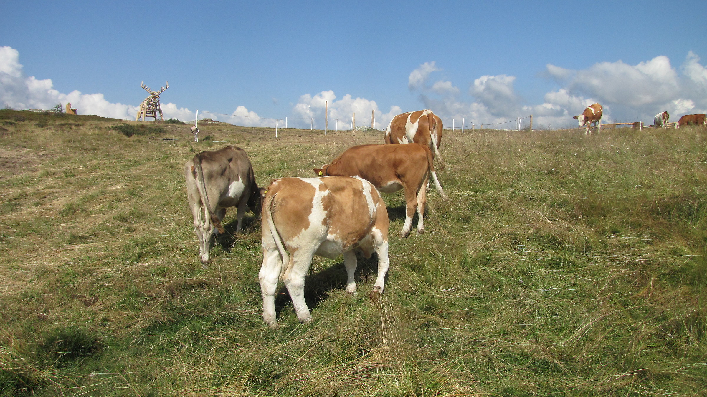 Holidays in Puster Valley