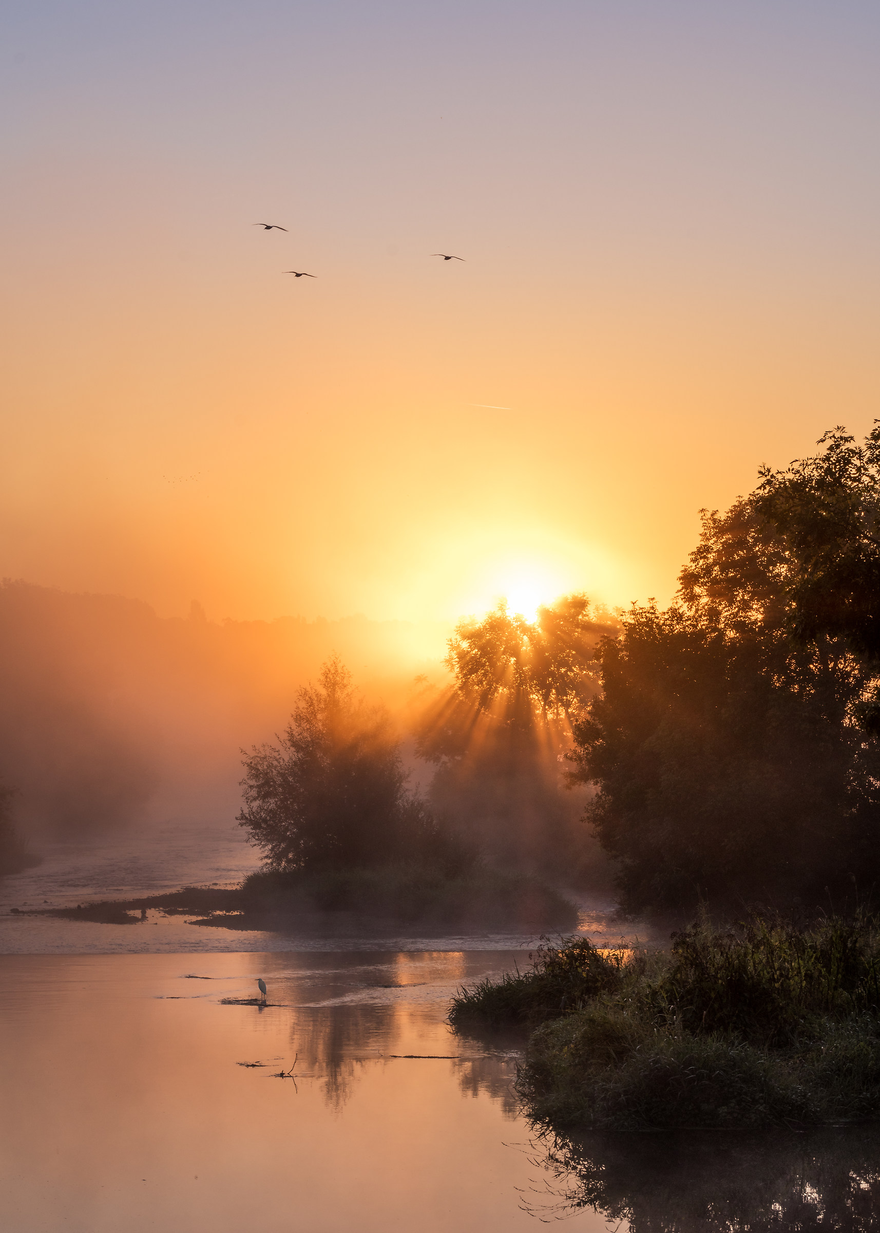 Alba nebbiosa al fiume