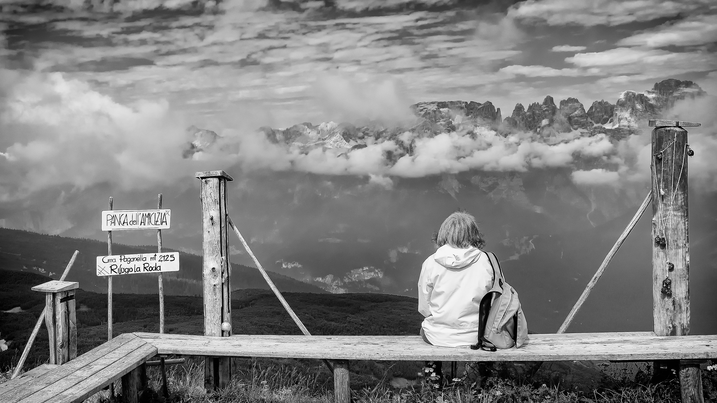 The Bench of Friendship