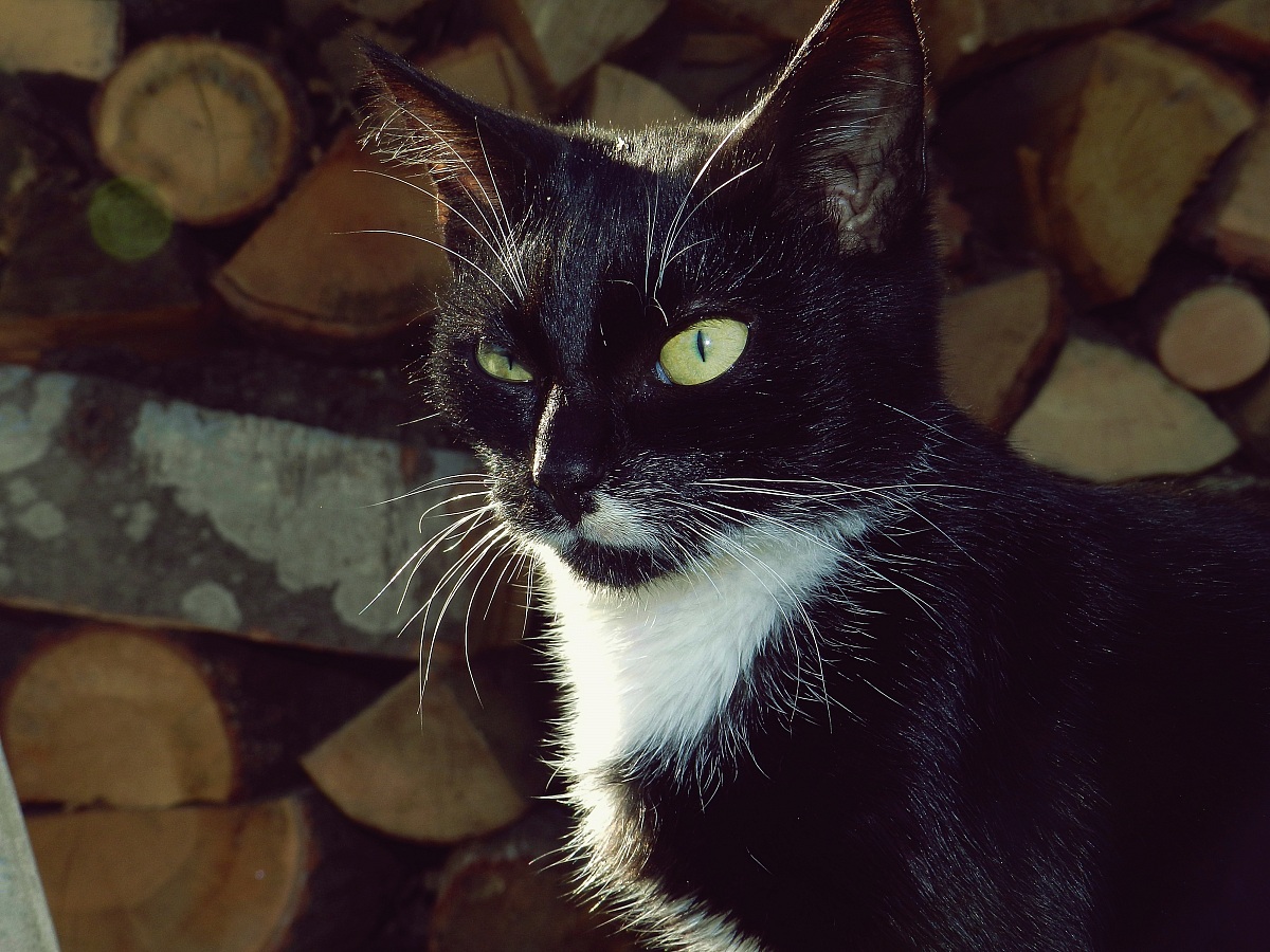 Are you kidding me!?