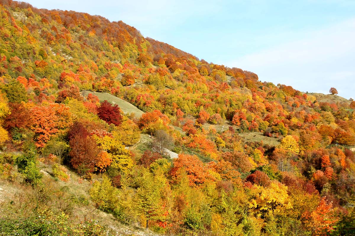 giardini di novembre