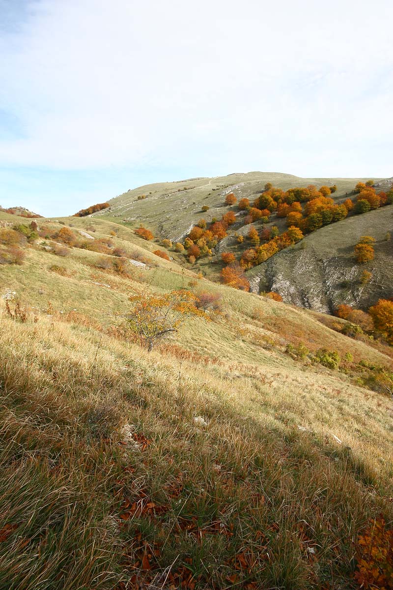 distant mirages colored