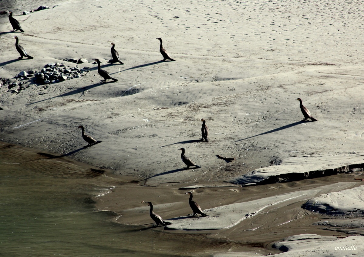 Nonostante l'autunno.... tutti in spiaggia!!!!!