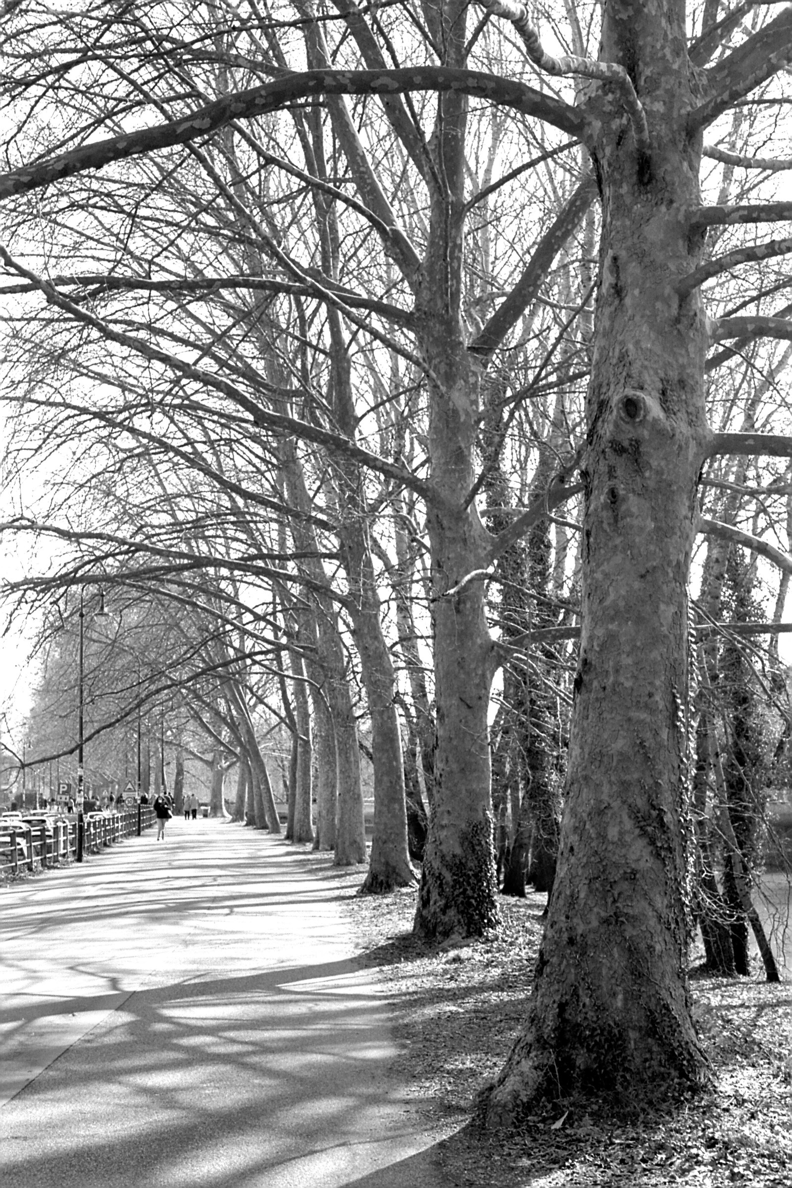Navigli d'inverno - Padova