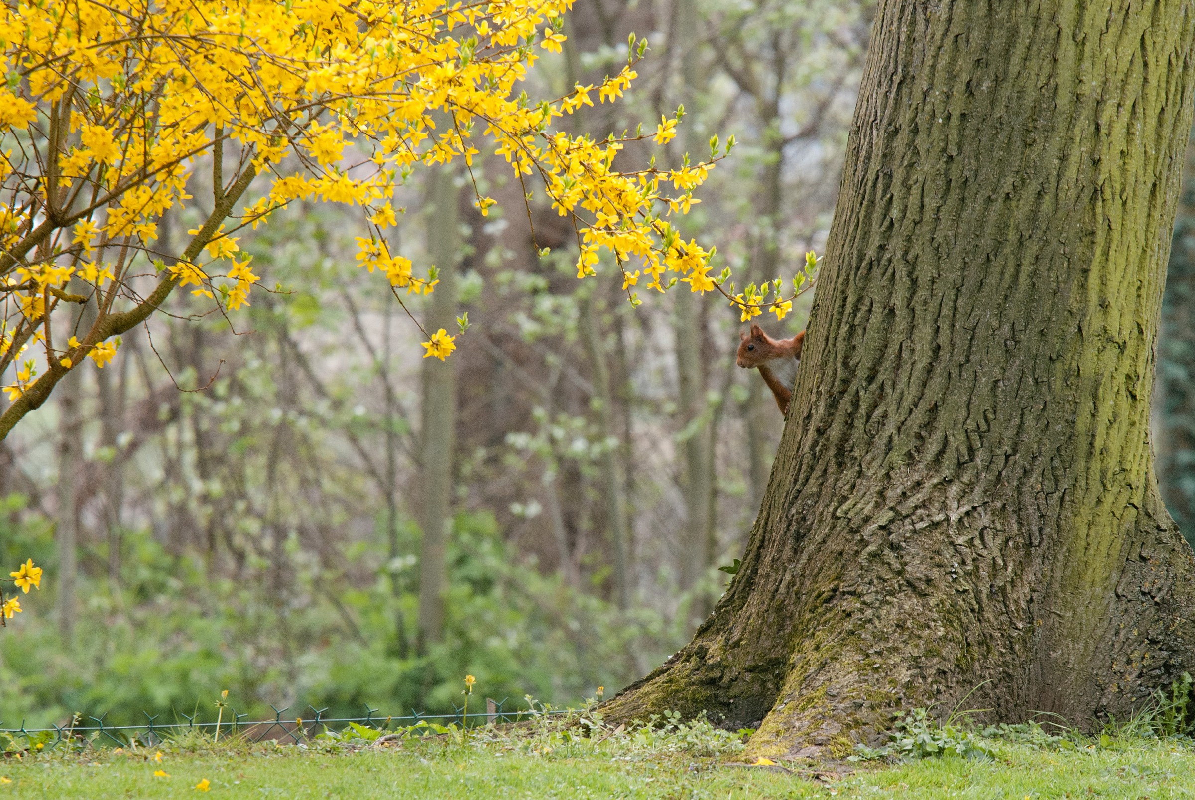 Let's play hide and seek?