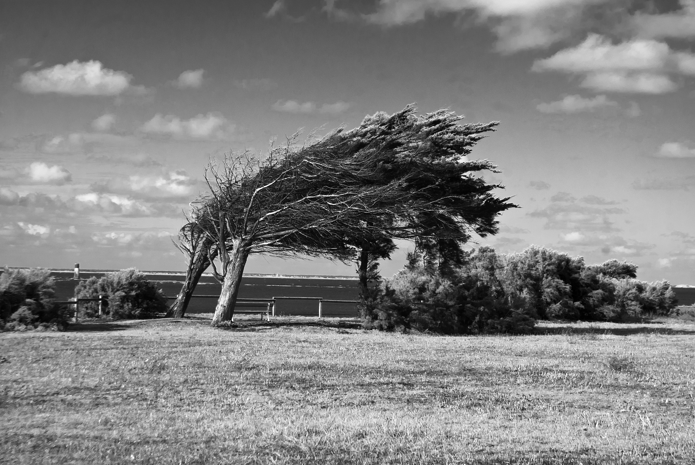 Excuse me, where is the East?