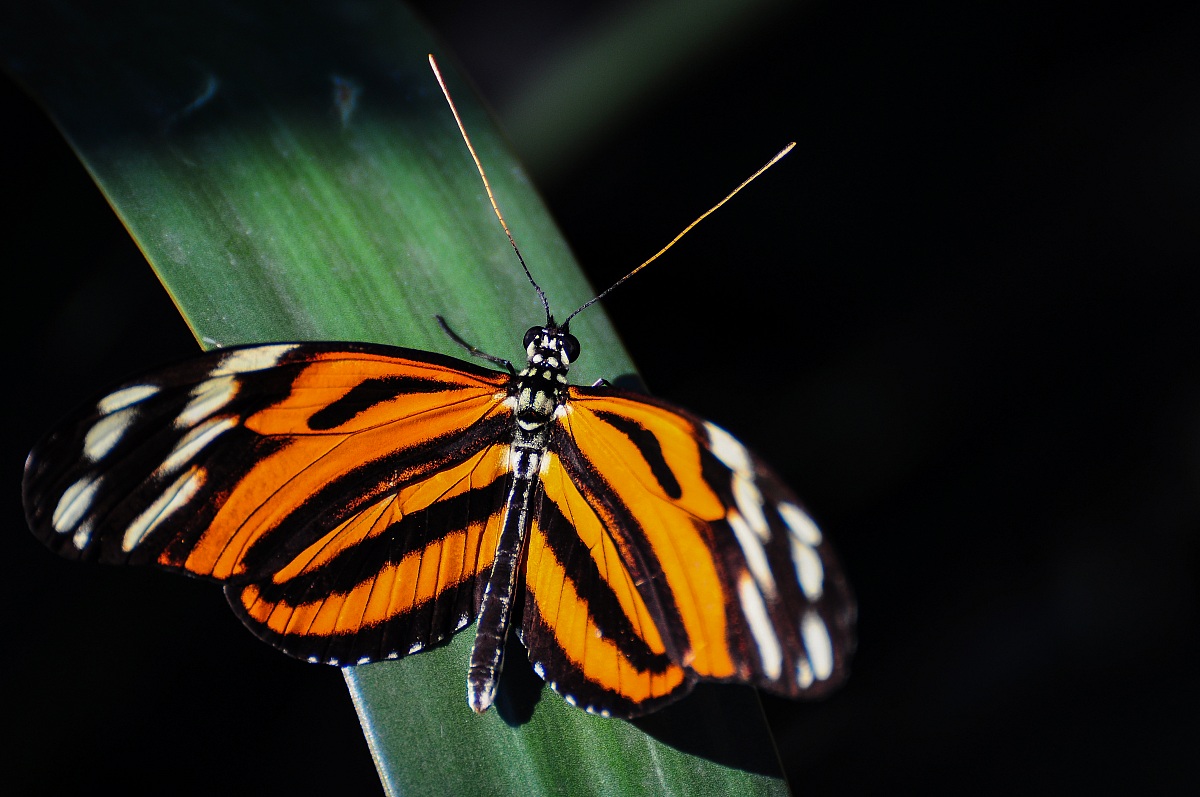 Between light and shadow!