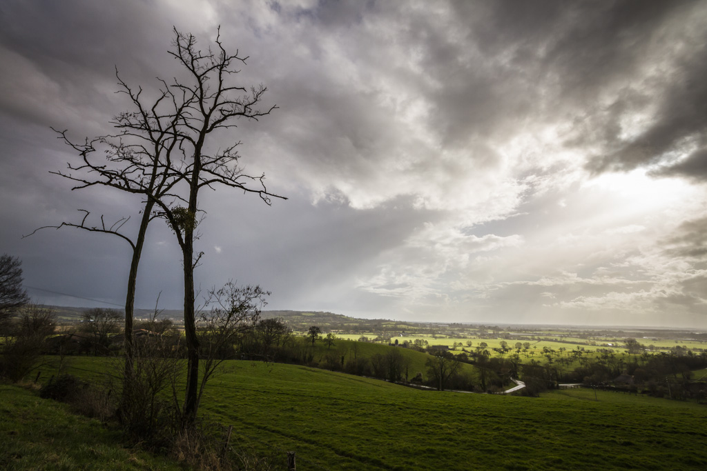 landscape of Normandy
