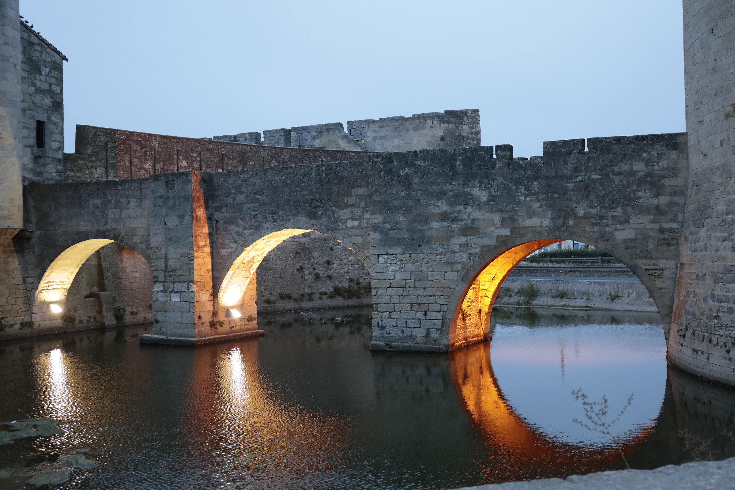 Aigues-Mortes Castle