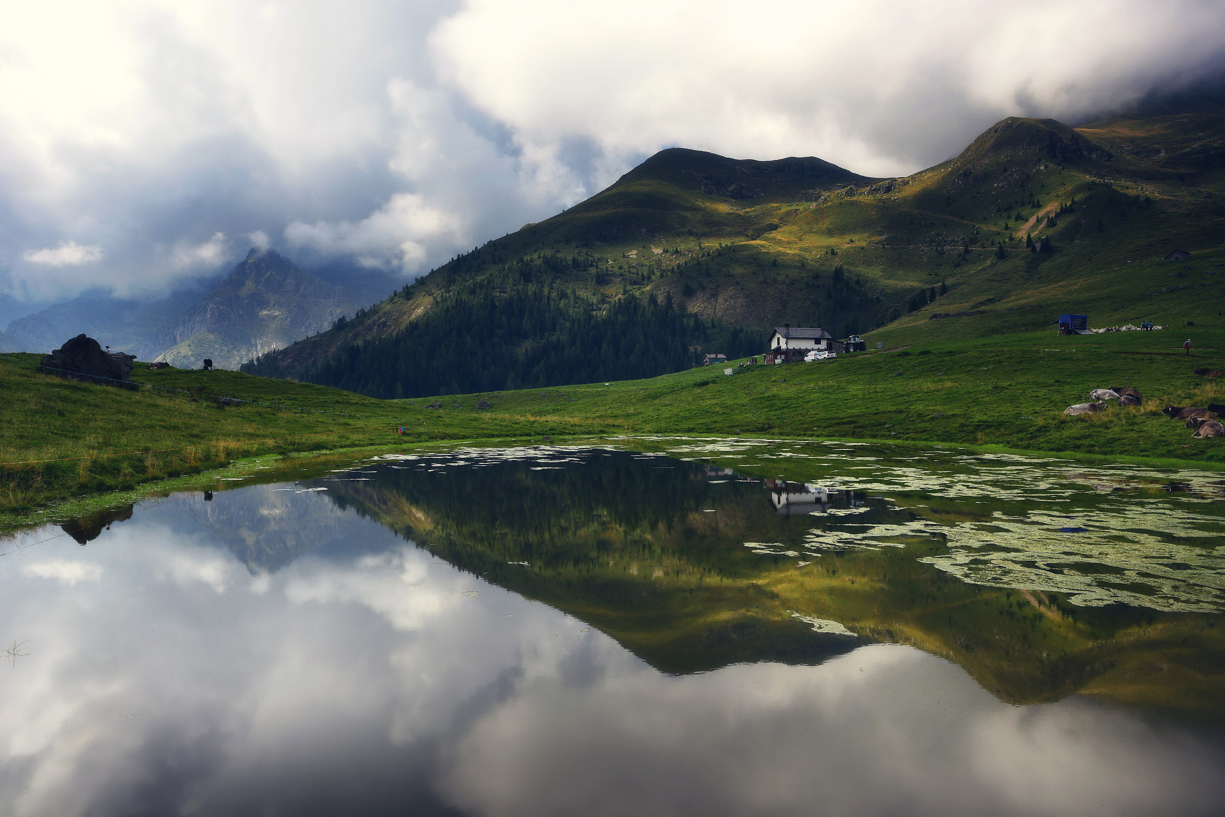 fine estate ai Piani dell'Avaro