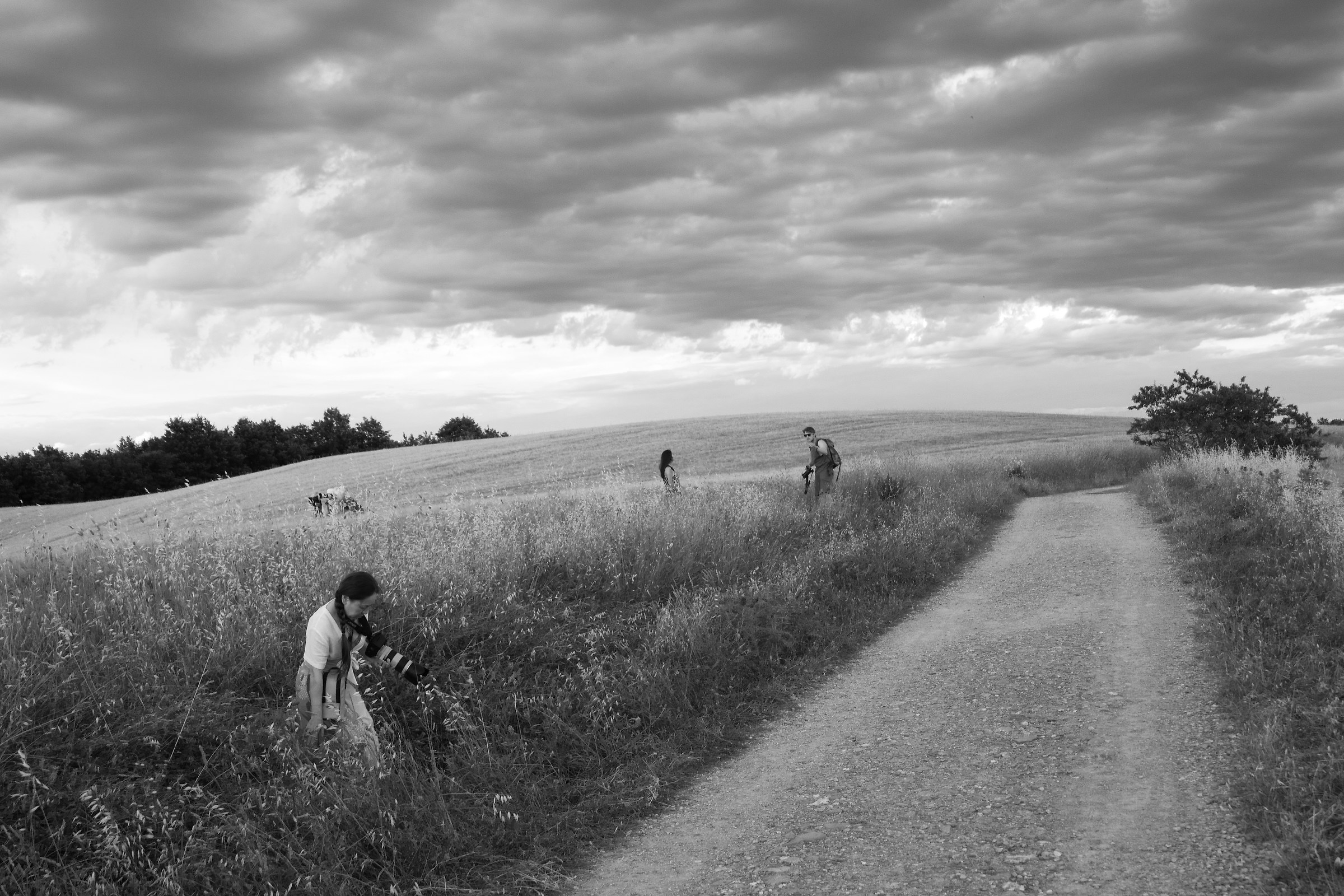 Alla ricerca del giusto PDR