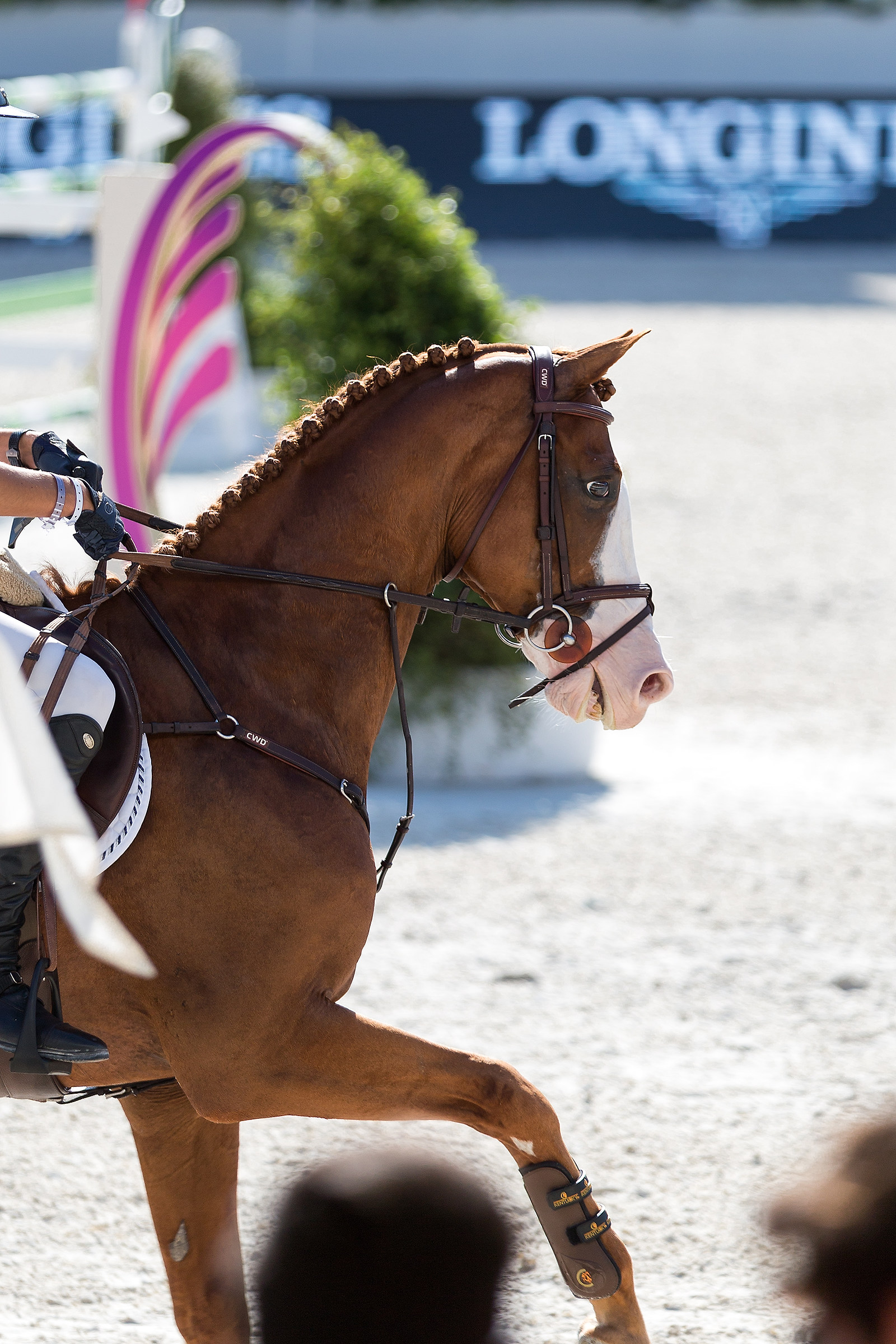 Global Champions Tour 2018 Stadio dei Marmi Roma