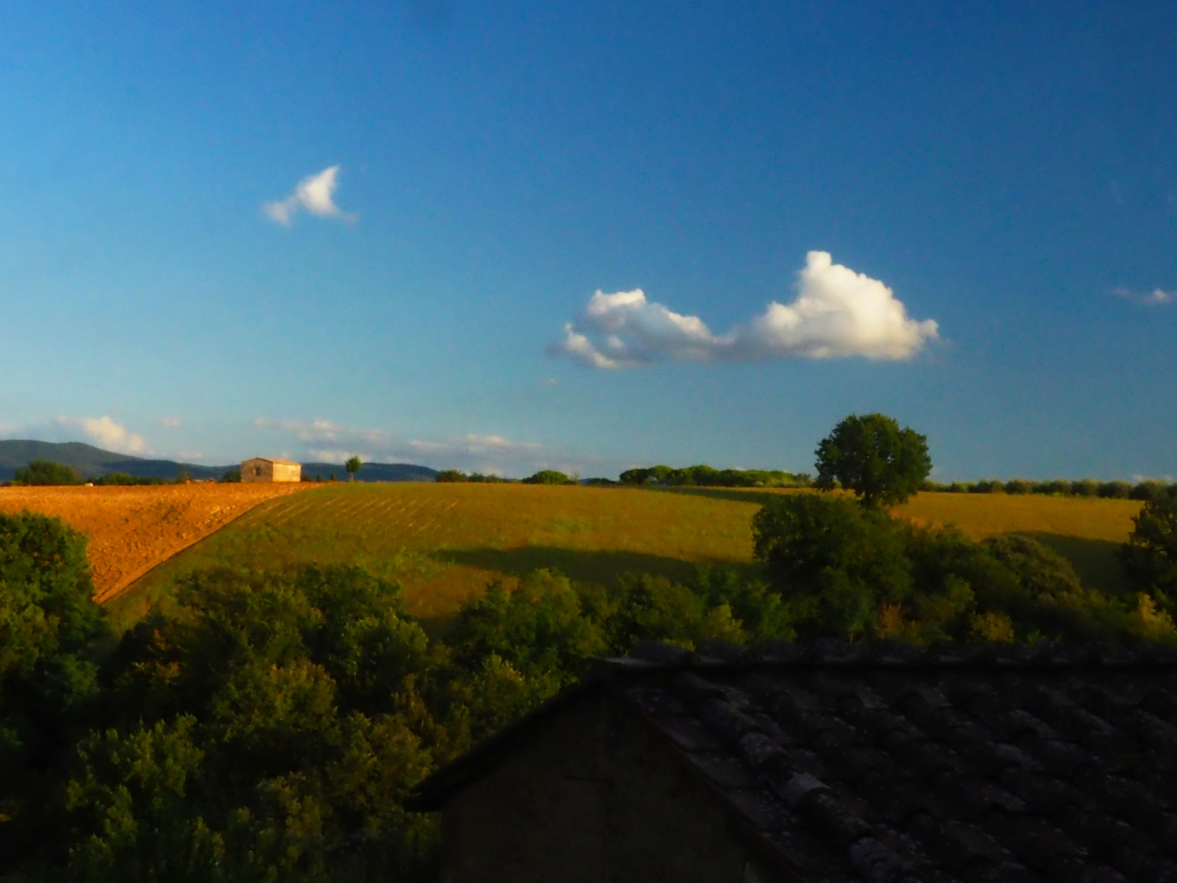 Untitled Photo