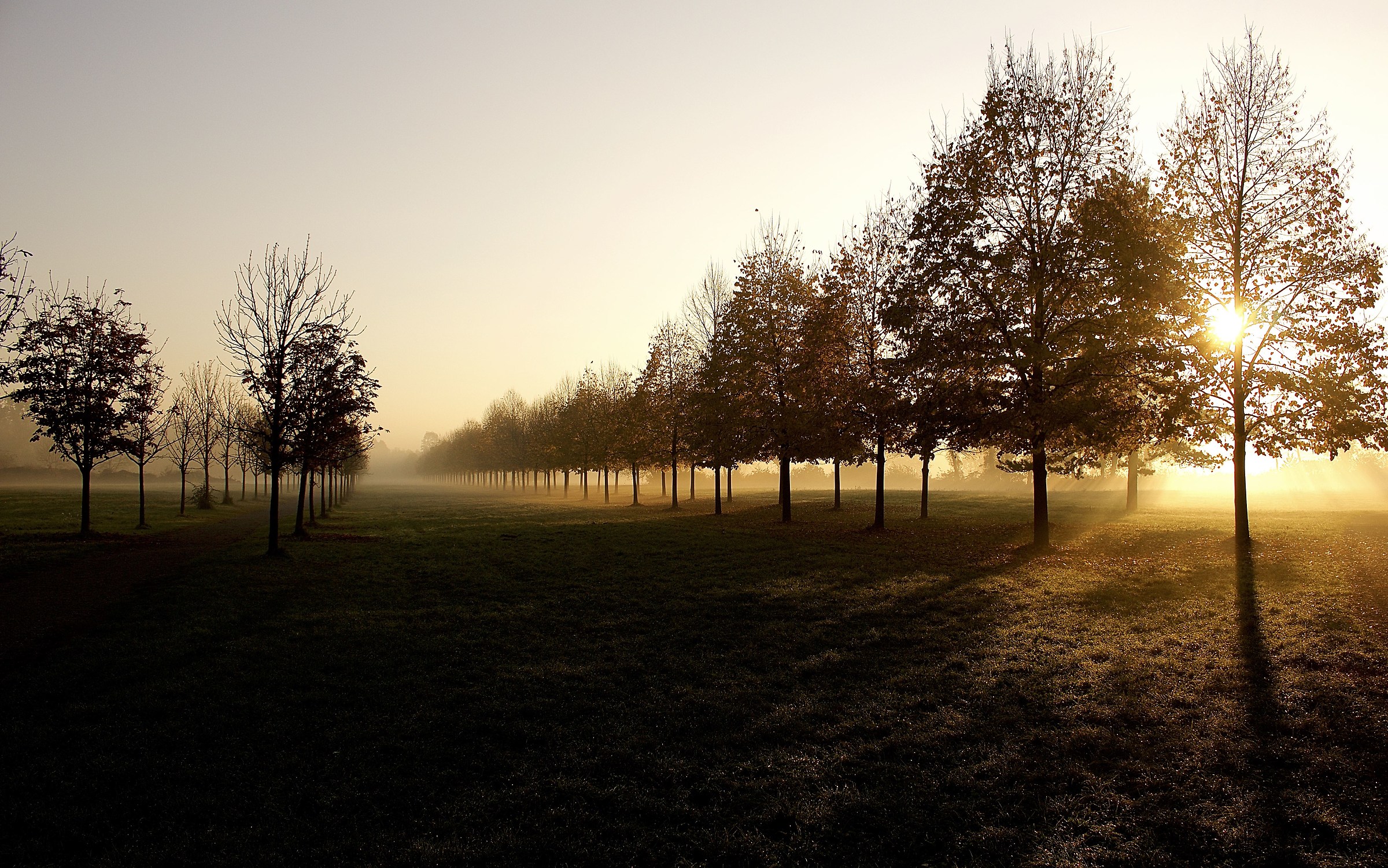 Golden morning at the park of Monza