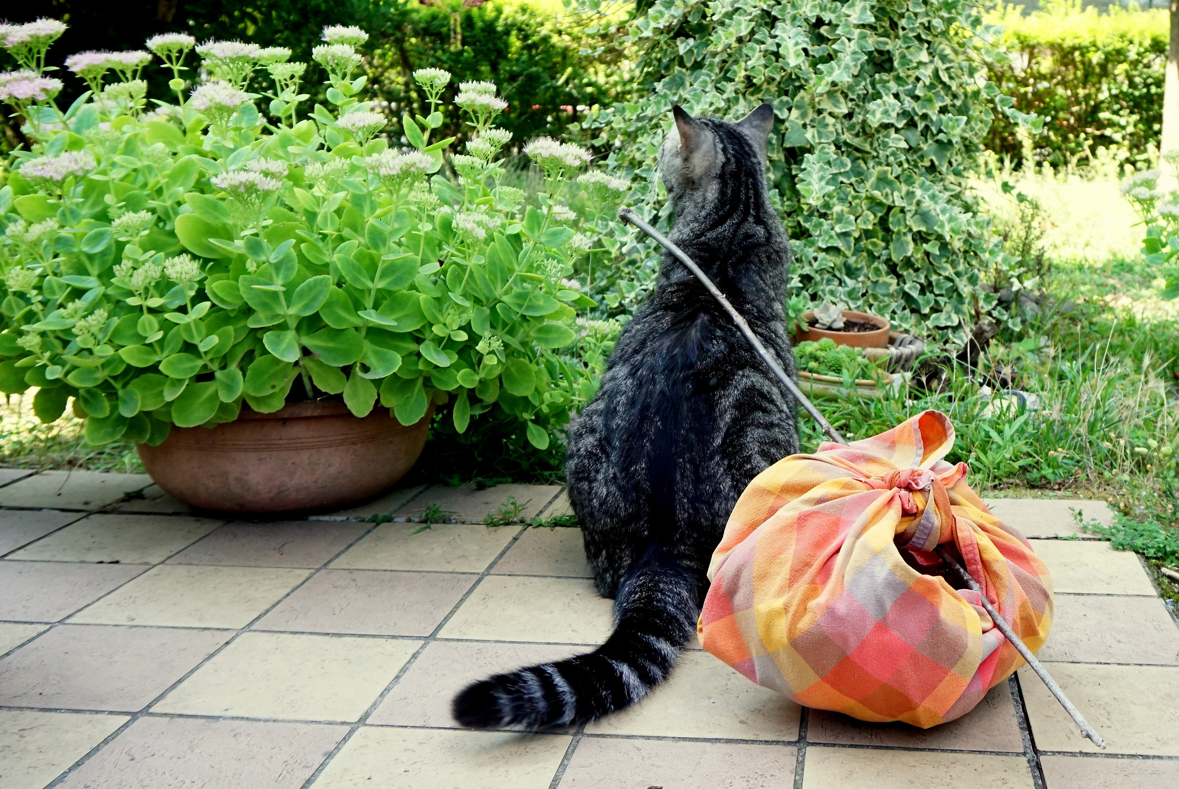 Eddy è stato sfrattato