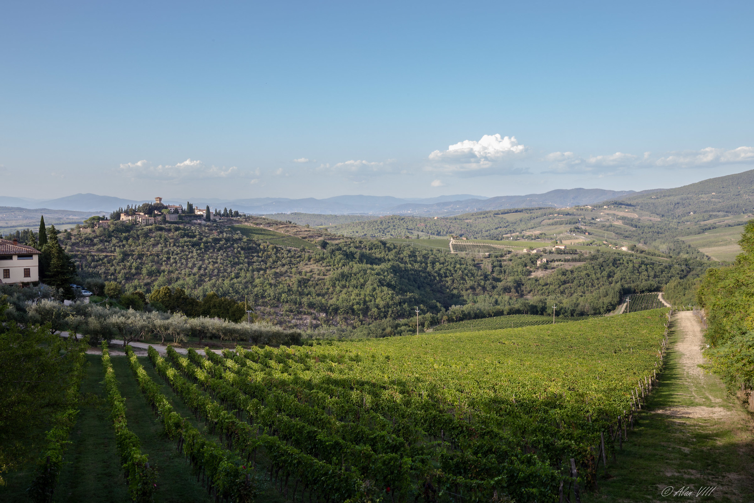 Vista dal Castello di Verrazzano