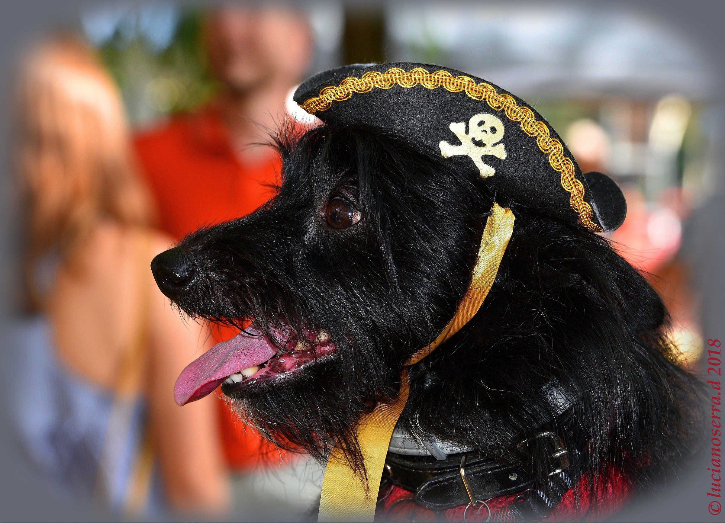 Nano... in versione Jack Sparrow...