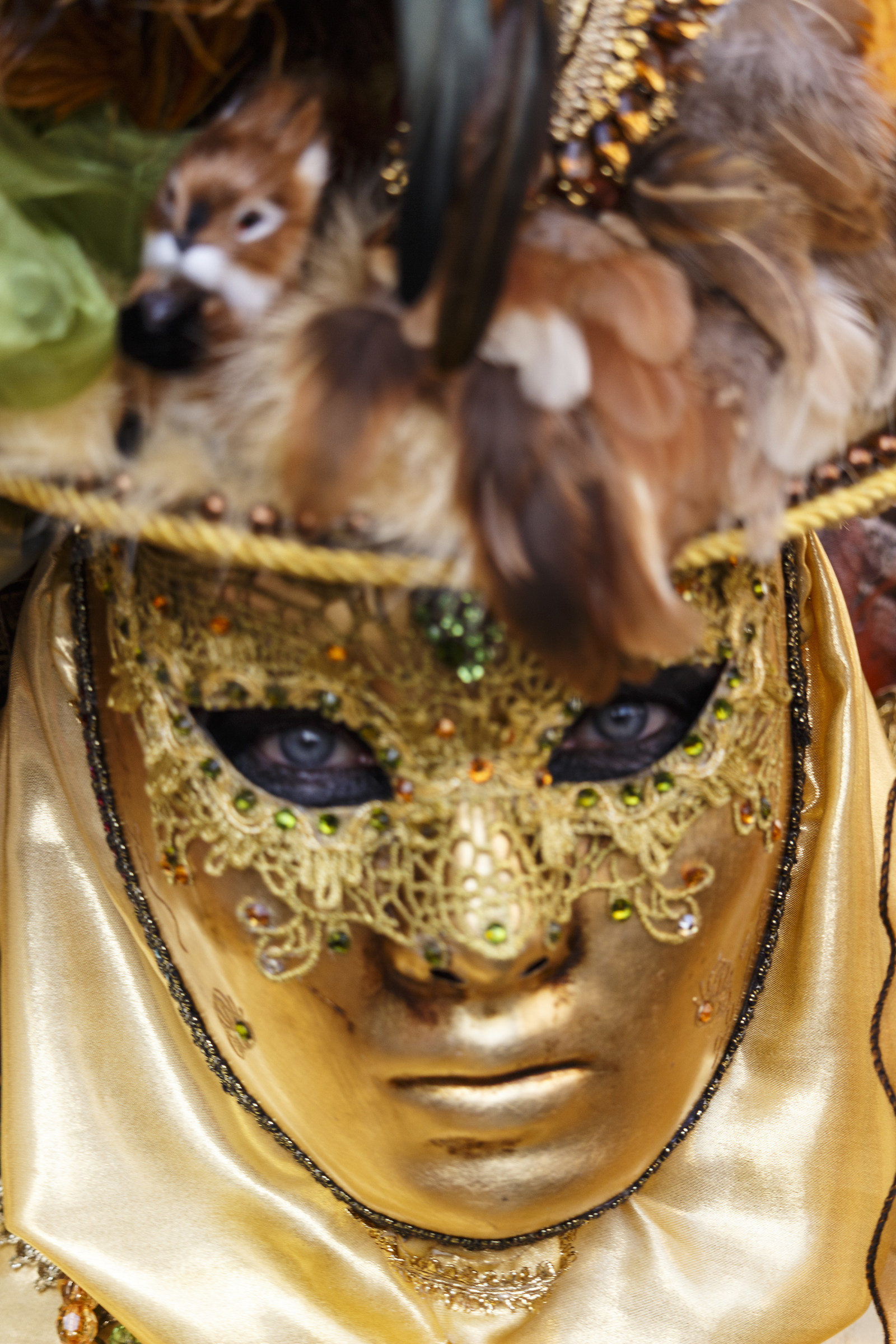 Mask at the Carnival of Venice