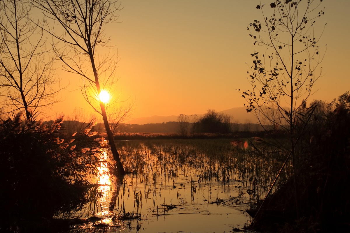 Padule al tramonto