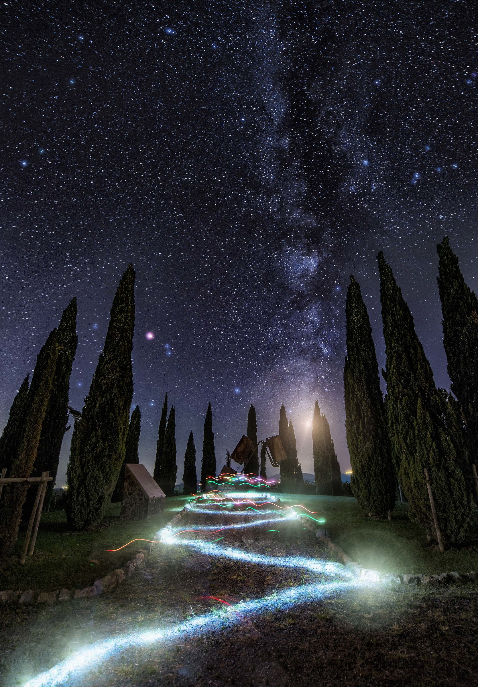 Games of light among the cypress trees