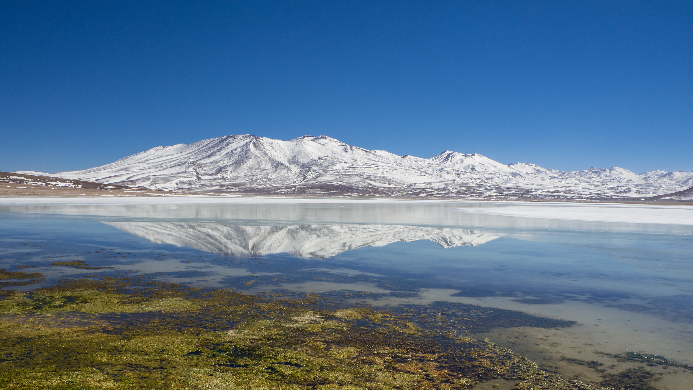 Laguna Blanca-Salar de Uyuni-Bolivia