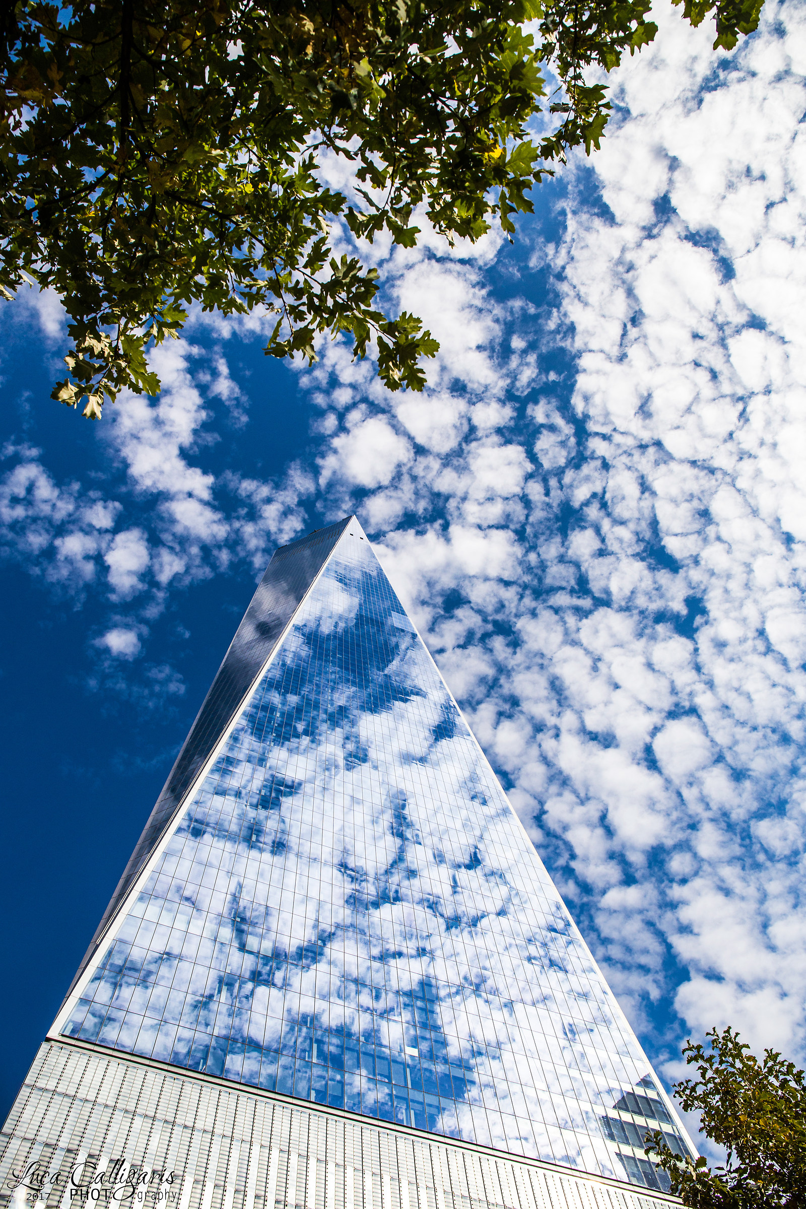 One World Reflection