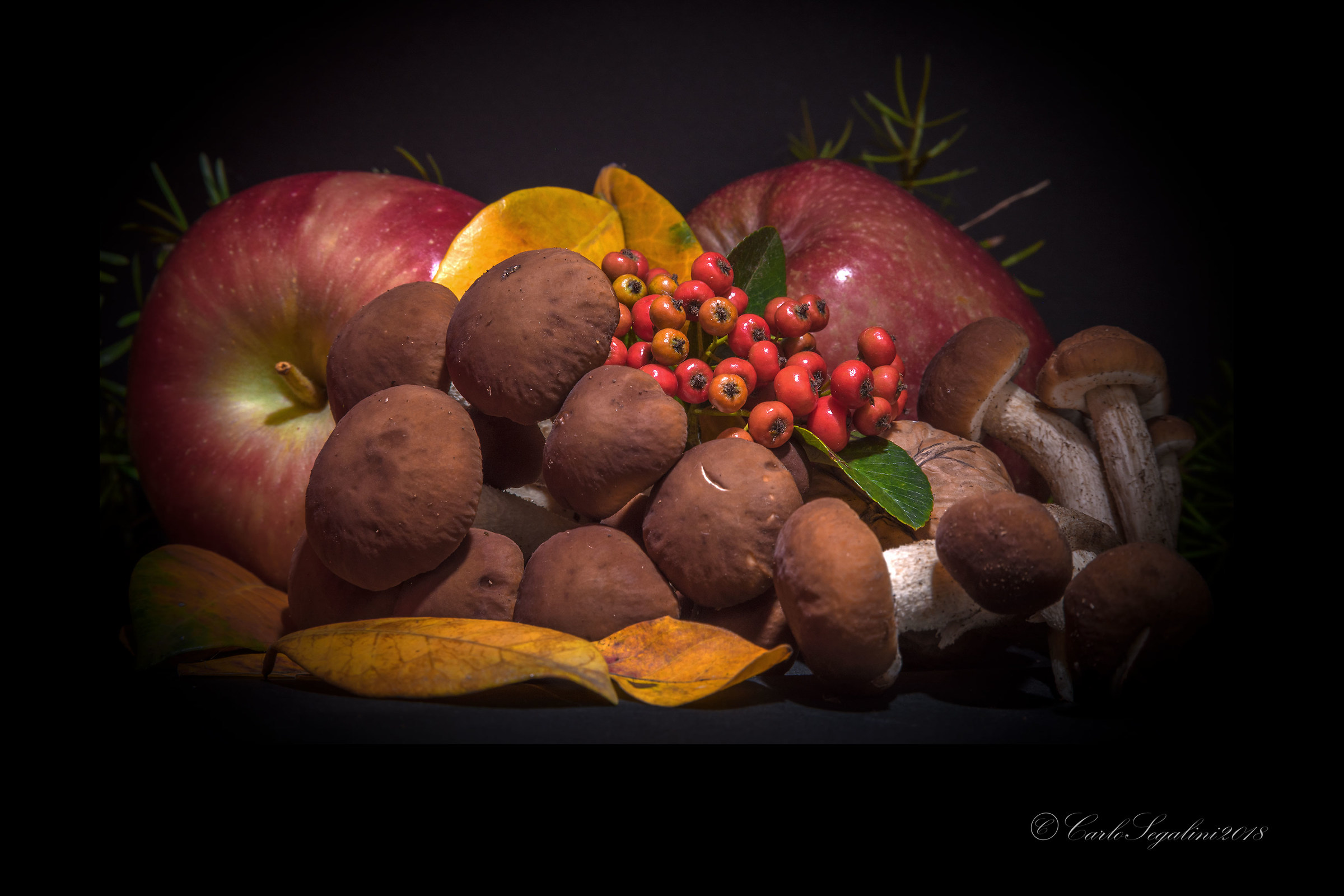 i primissimi pioppini