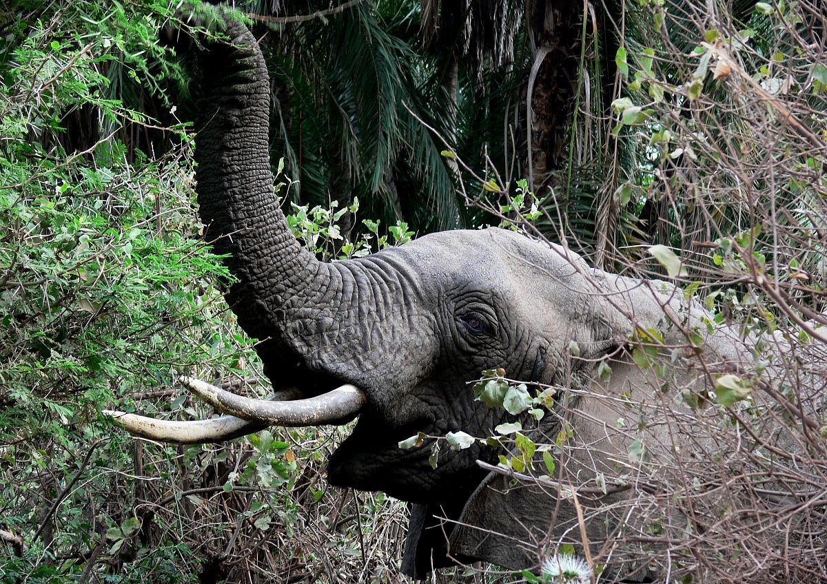 troppo vicino per il comfort!