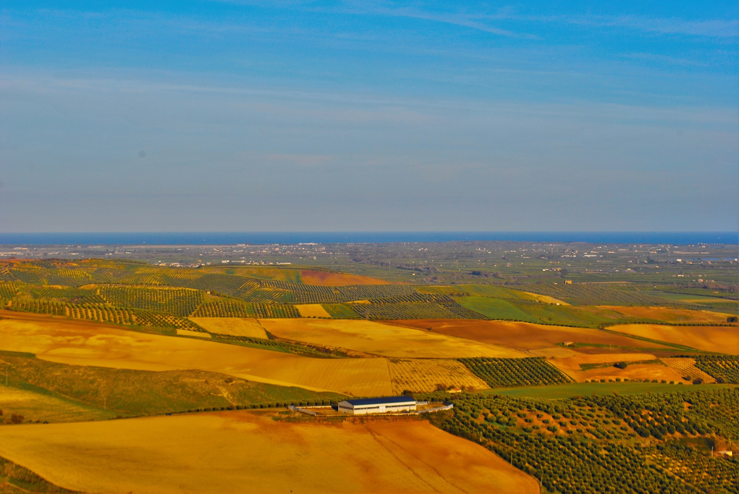 Corigliano's Campaigns