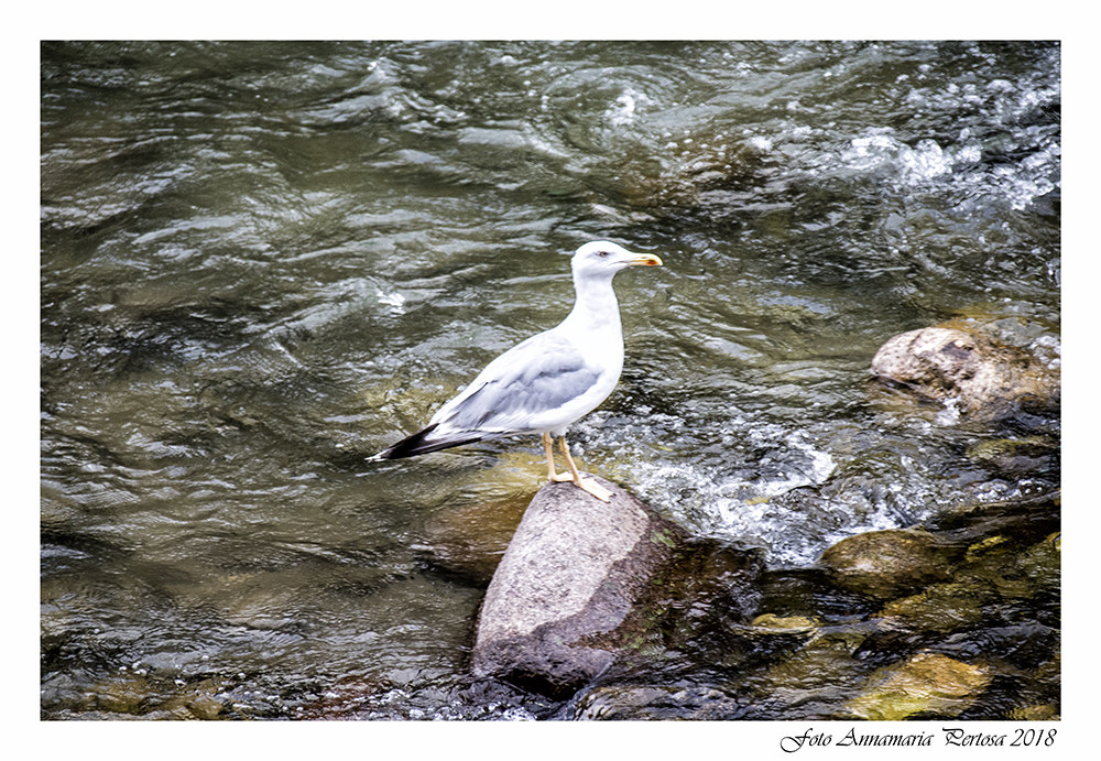 Here I am!... for today I grant myself.