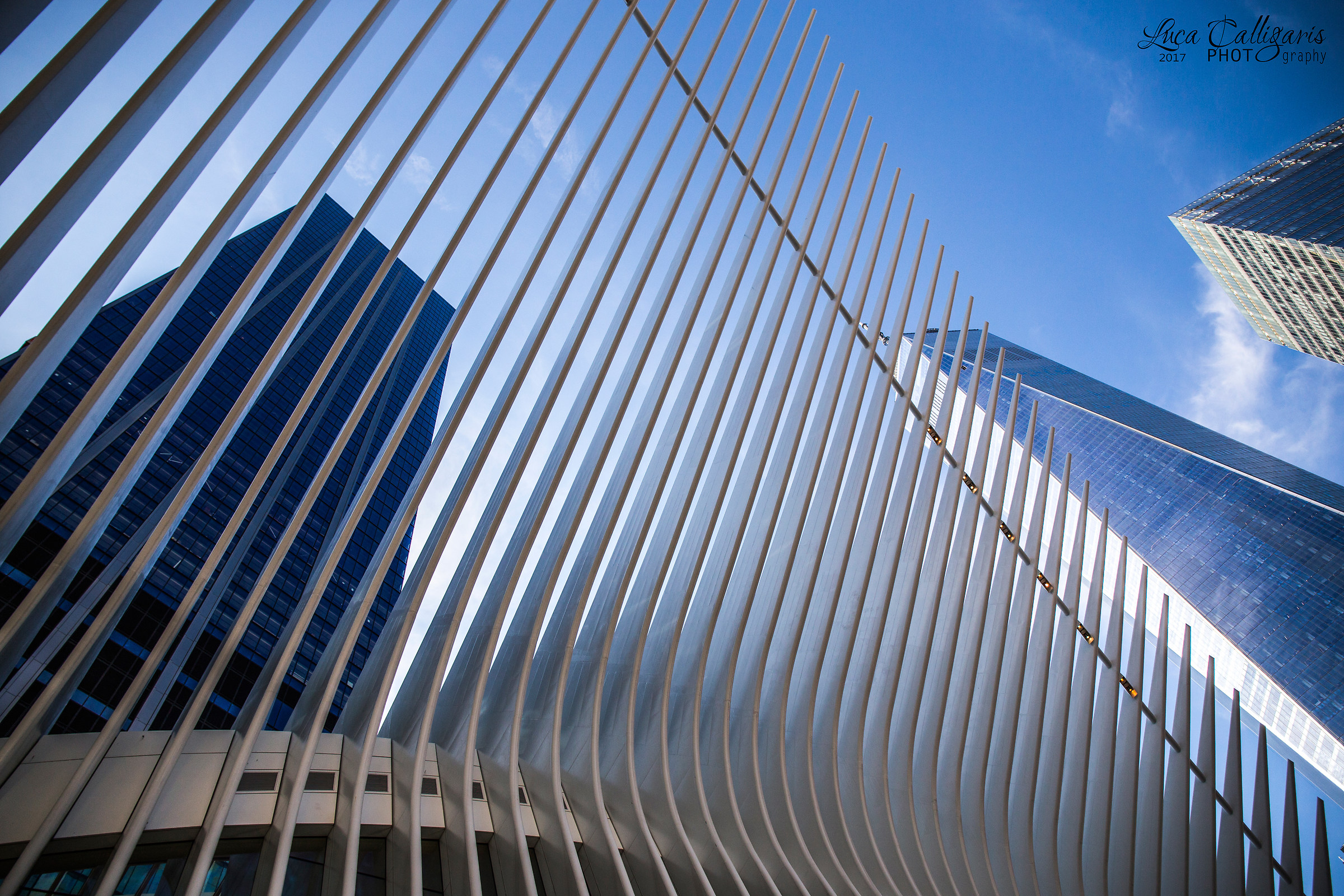 One World geometries