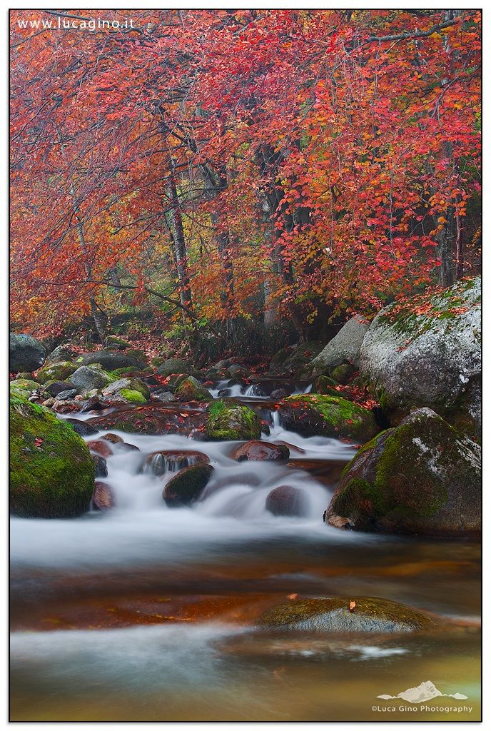 Autunno in valle Pesio 2