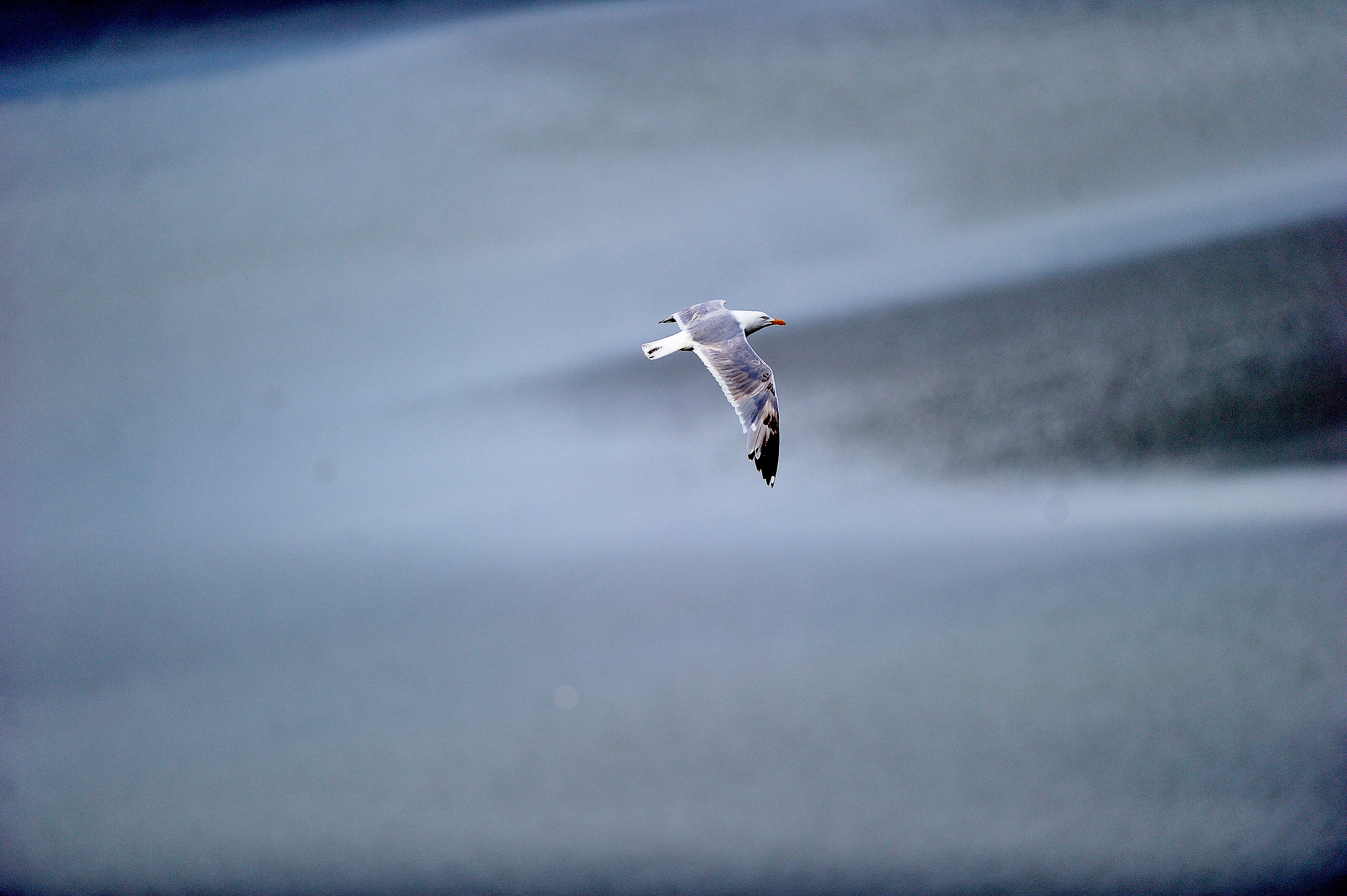 The Bay of Mont S Michel